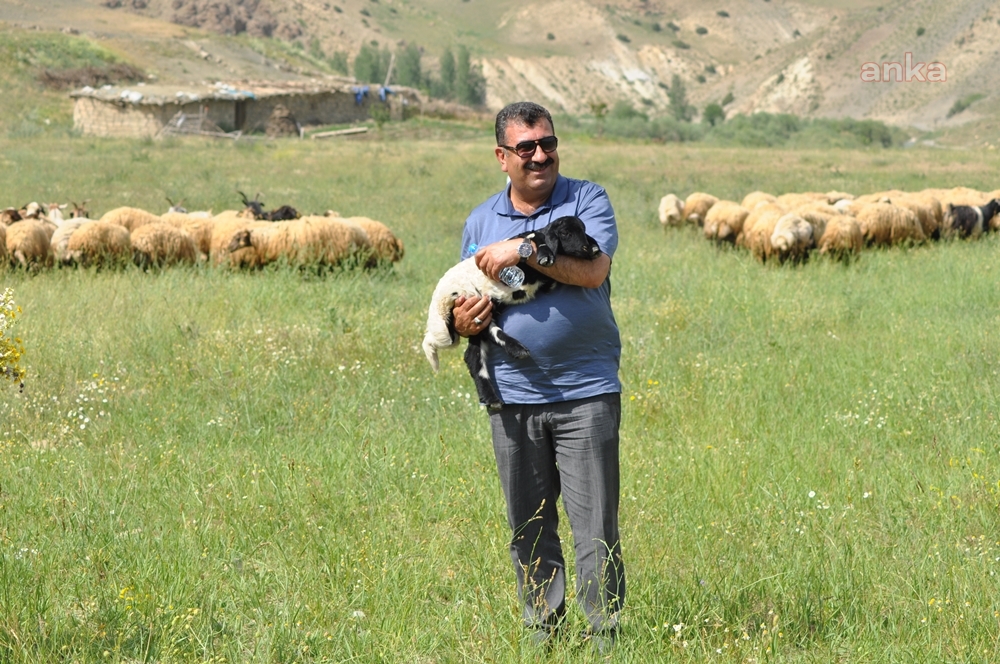 TÜDKİYEB GENEL BAŞKANI ÇELİK: CARİ AÇIĞIN İLACI KÜÇÜKBAŞ HAYVANCILIKTA