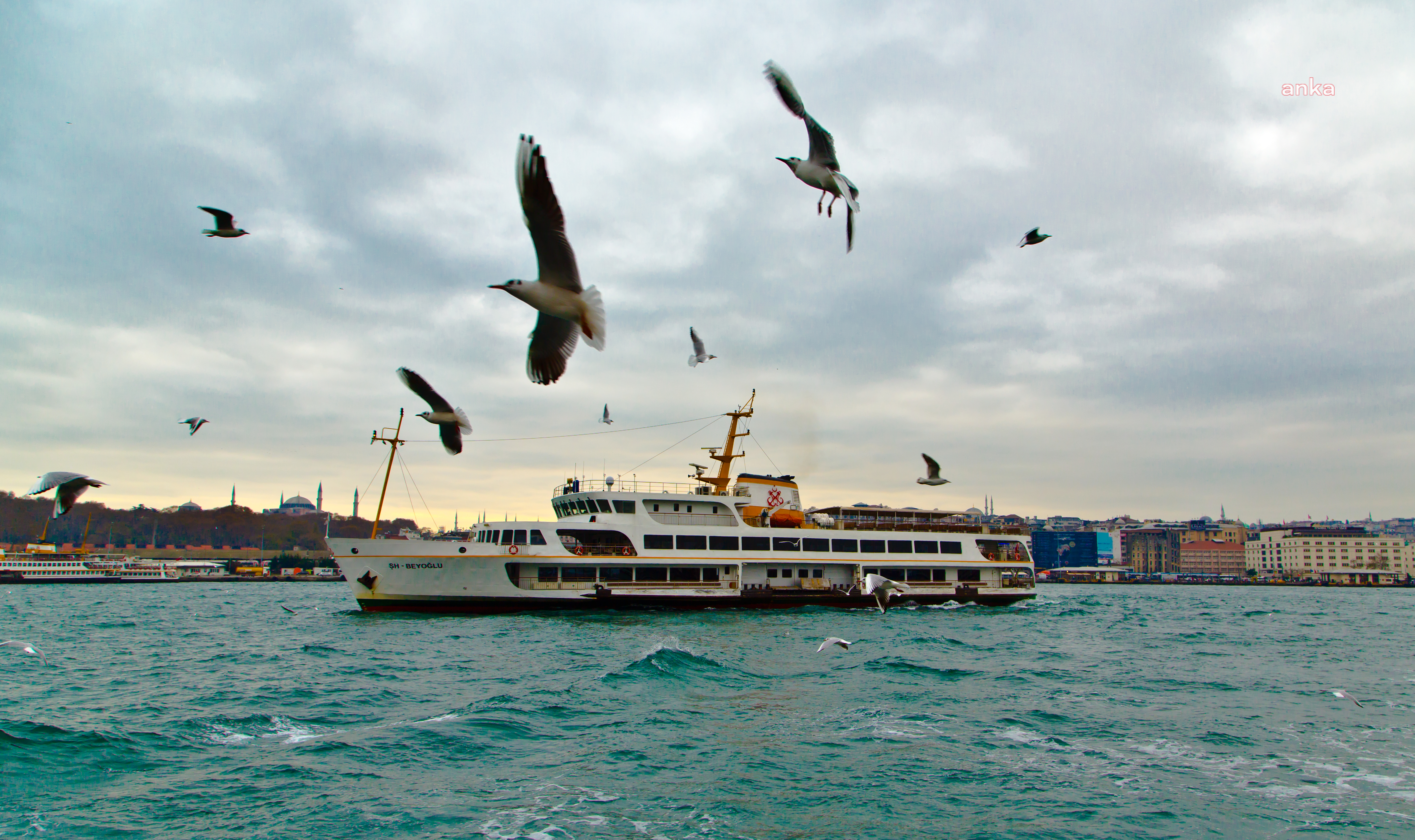 ŞEHİR HATLARI 173. YAŞINI KUTLUYOR