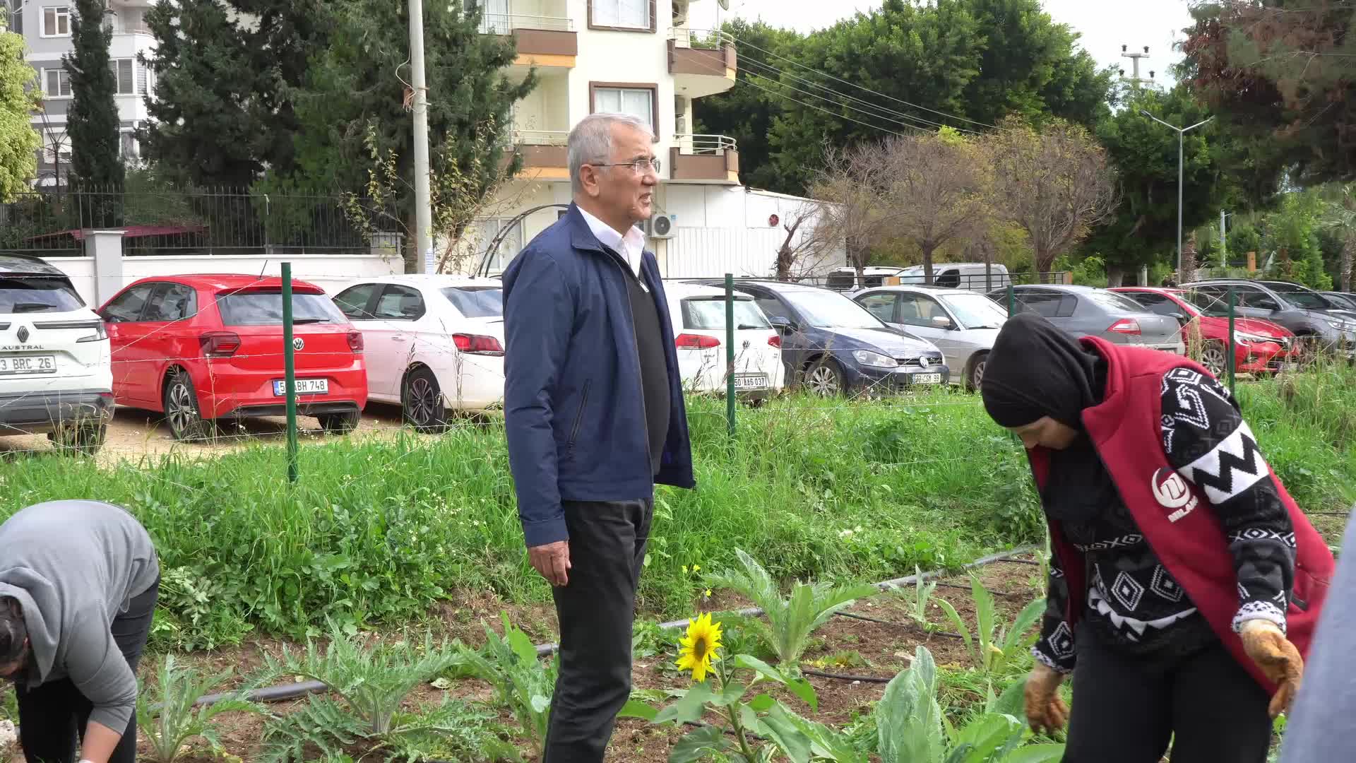 MEZİTLİ’NİN KADINLARI ENGİNAR ÜRETİYOR