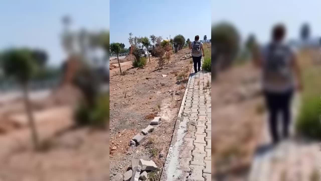 DAVALIK ALANI ÖNCE MOLOZ VE MICIRLA KAPLADI, MAHKEME ÖNCESİ DE ZEYTİN AĞACI DİKEMEYE ÇALIŞTI
