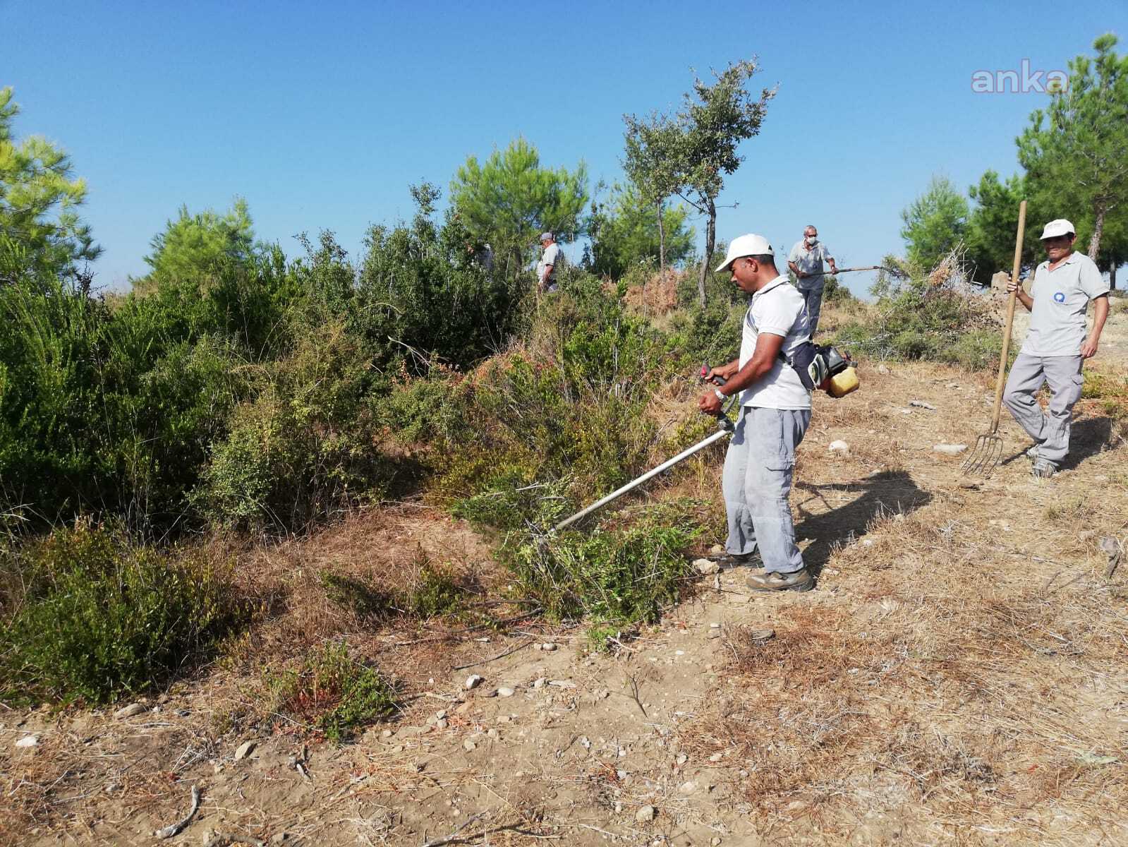 ANTALYA BÜYÜKŞEHİR'DEN MEZARLIKLARDA KAPSAMLI TEMİZLİK