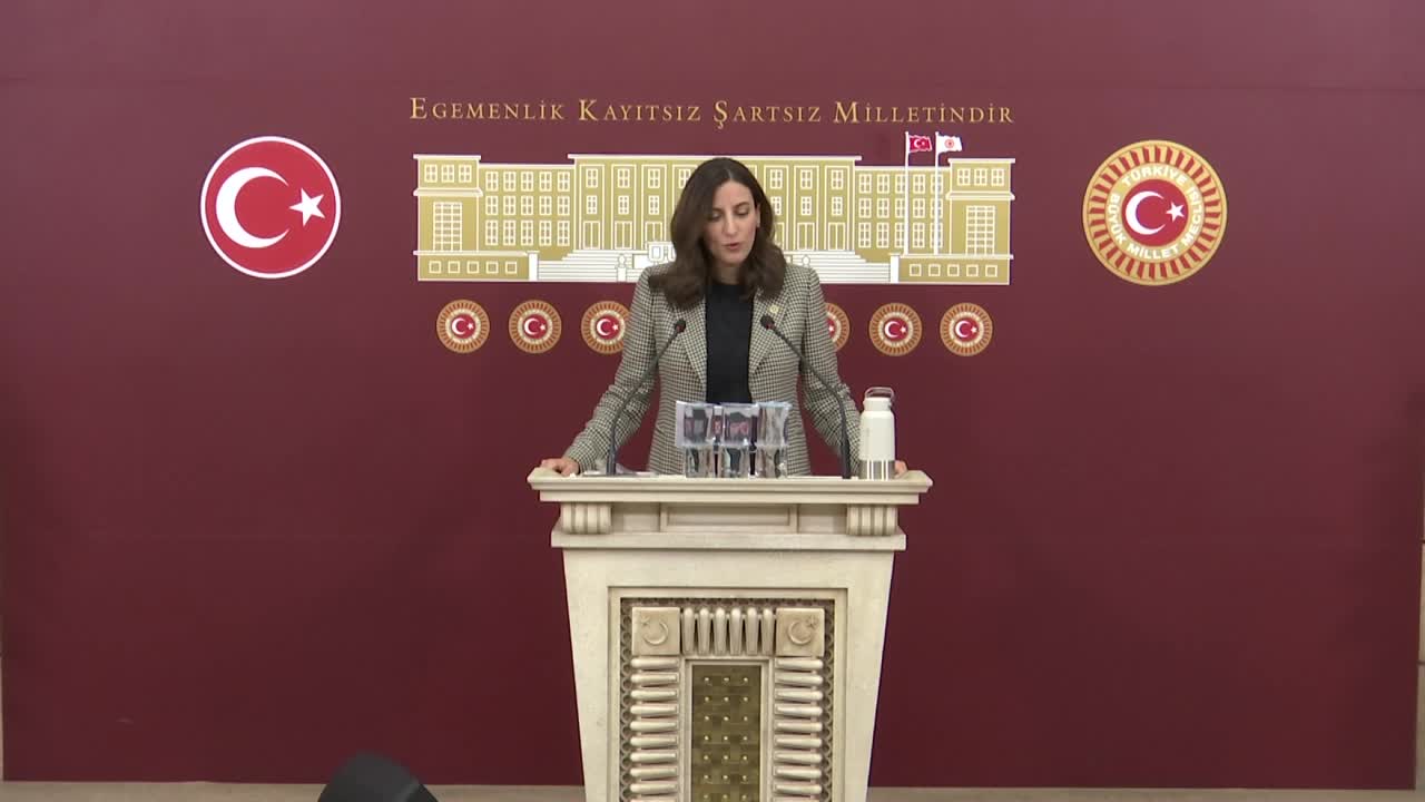EVRİM RIZVANOĞLU'NDAN TEK KULLANIMLIK PLASTİKLERİN YASAKLANMASI İÇİN KANUN TEKLİFİ: "ARAŞTIRMAYA GÖRE 104 YENİ DOĞAN BEBEKTEN 100'ÜNÜN VÜCUTLARINDA MİKROPLASTİK BULUNUYOR"