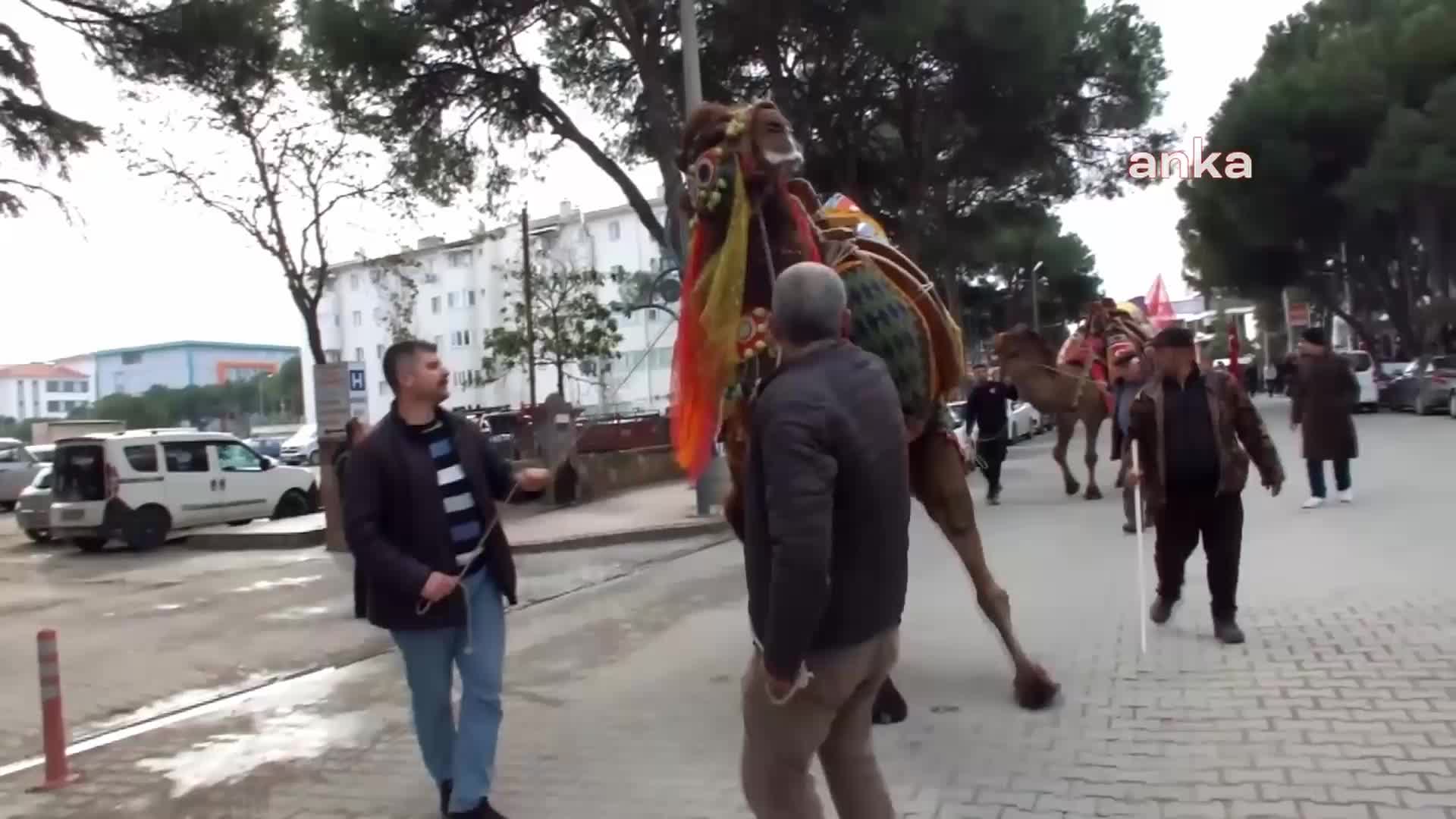 BURHANİYE BELEDİYESİ'NCE DÜZENLENEN 19. BURHANİYE ZEYTİN VE ZEYTİNYAĞI HASAT FESTİVALİ BAŞLADI