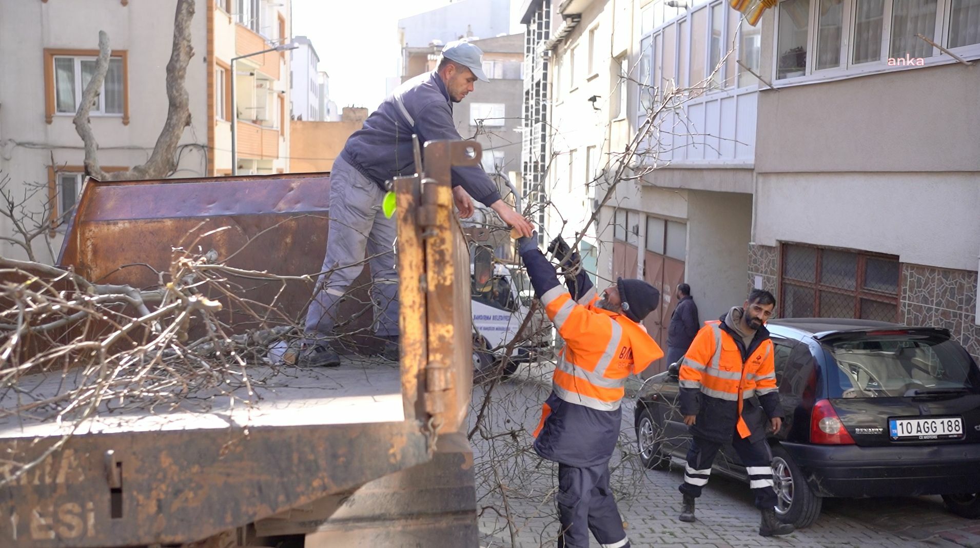 BANDIRMA BELEDİYESİ'NDEN BUDAMA ÇALIŞMASI