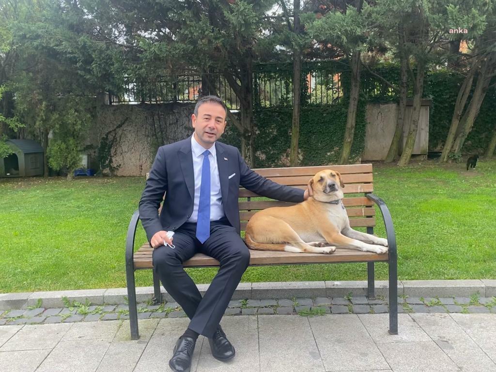 BEŞİKTAŞ BELEDİYESİ’NDEN 7/24 VETERİNERLİK HİZMETİ