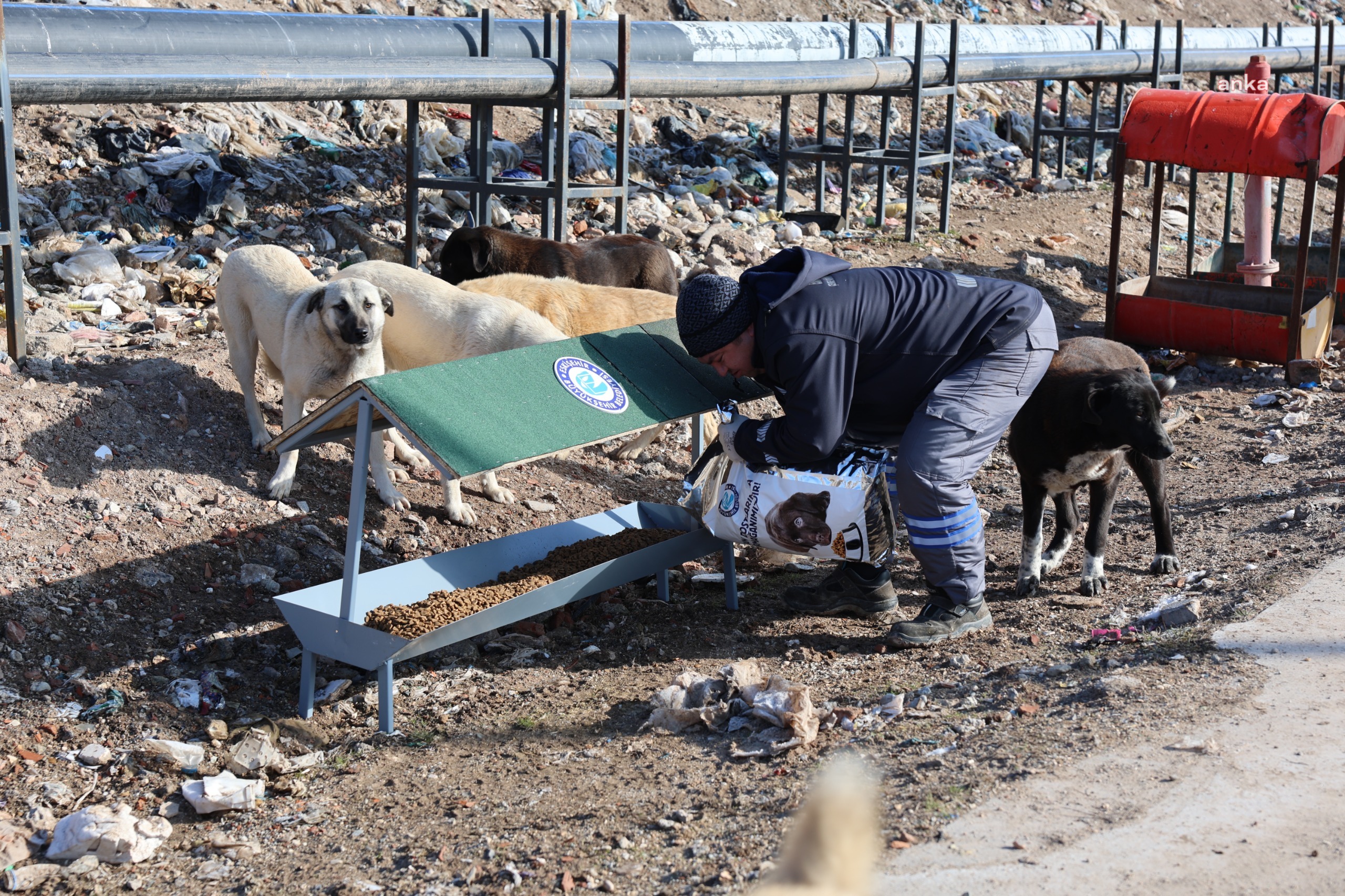 ESKİŞEHİR BÜYÜKŞEHİR'DEN CAN DOSTLAR İÇİN ÖRNEK İŞ BİRLİĞİ