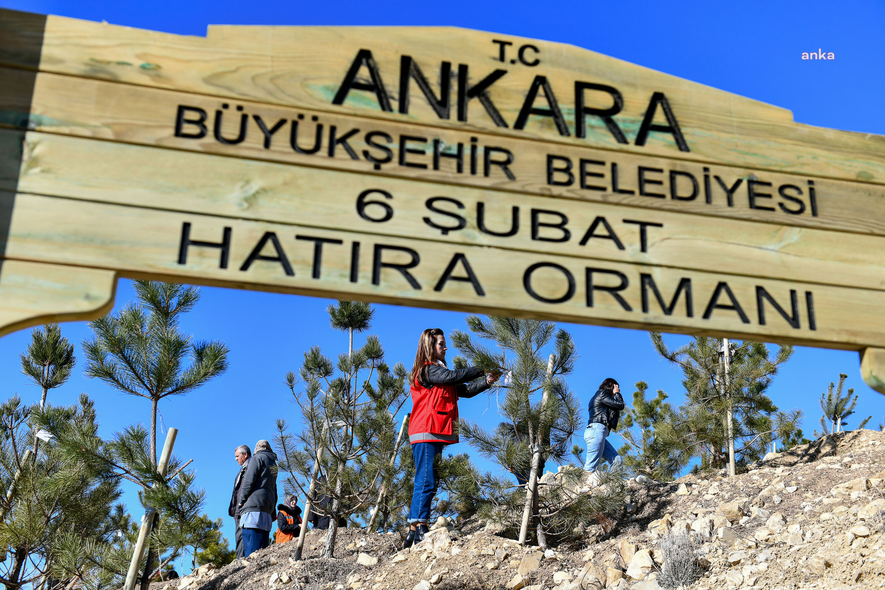 ANKARA BÜYÜKŞEHİR BELEDİYESİ'NDEN 6 ŞUBAT DEPREMİ ANISINA HATIRA ORMANI