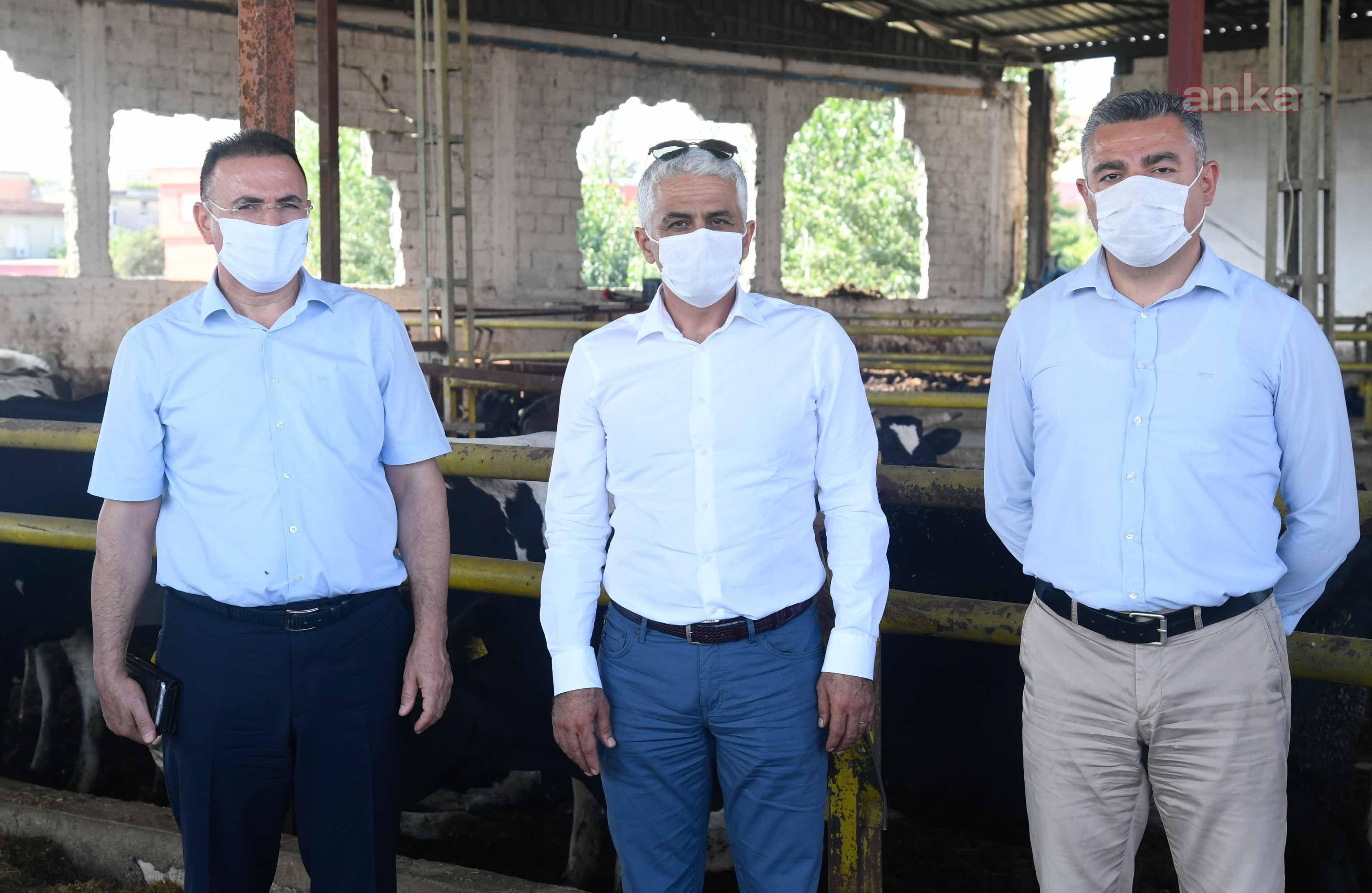 ADANA'DA VEKTÖREL HASTALIKLARA KARŞI BİRLİKTE MÜCADELE