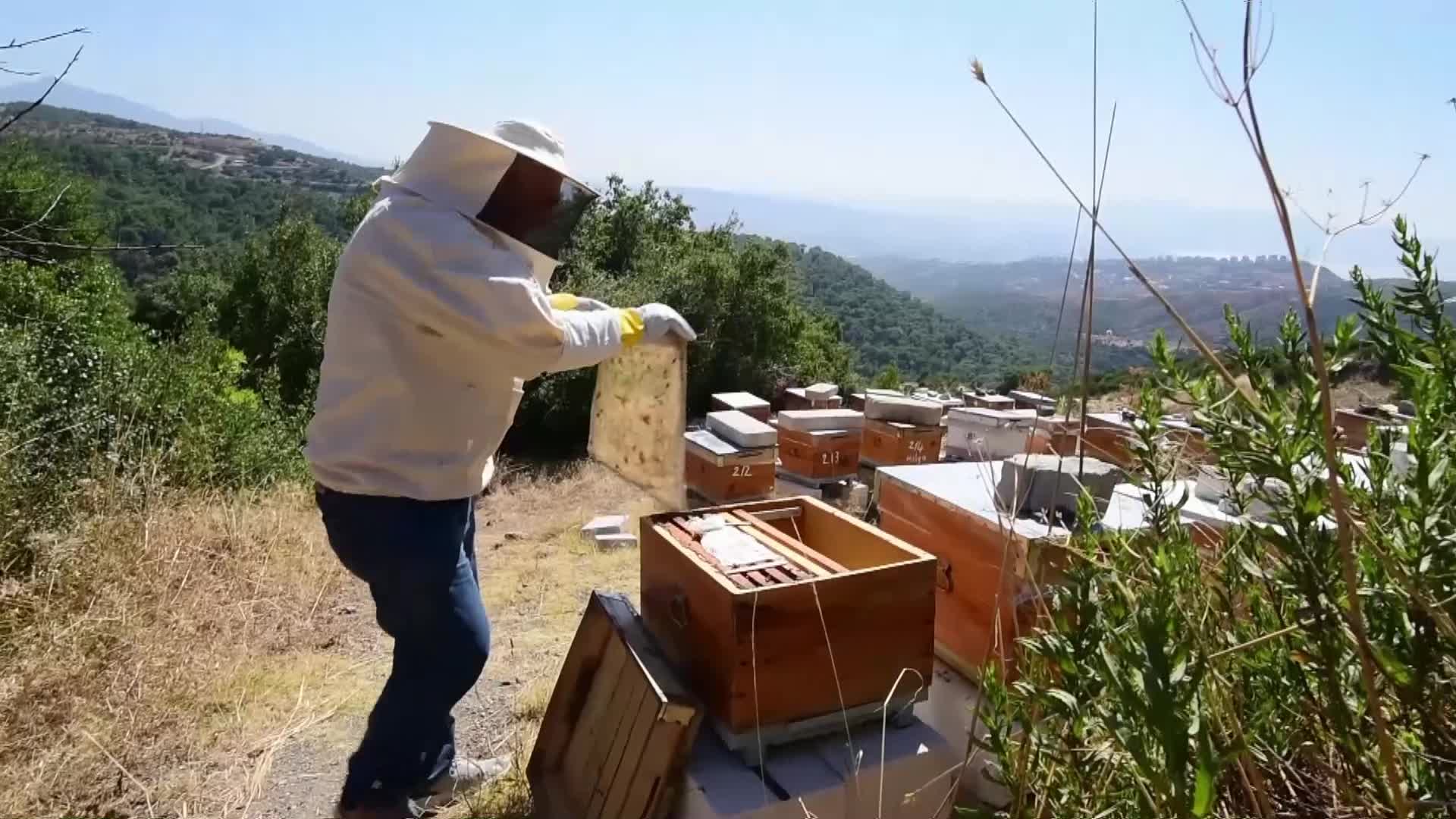 BORNOVA BELEDİYESİ’NİN ARICILIK EĞİTİMLERİ BAŞLADI