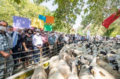 İZMİR BÜYÜKŞEHİR'DEN KADIN ÇİFTÇİYE DESTEK