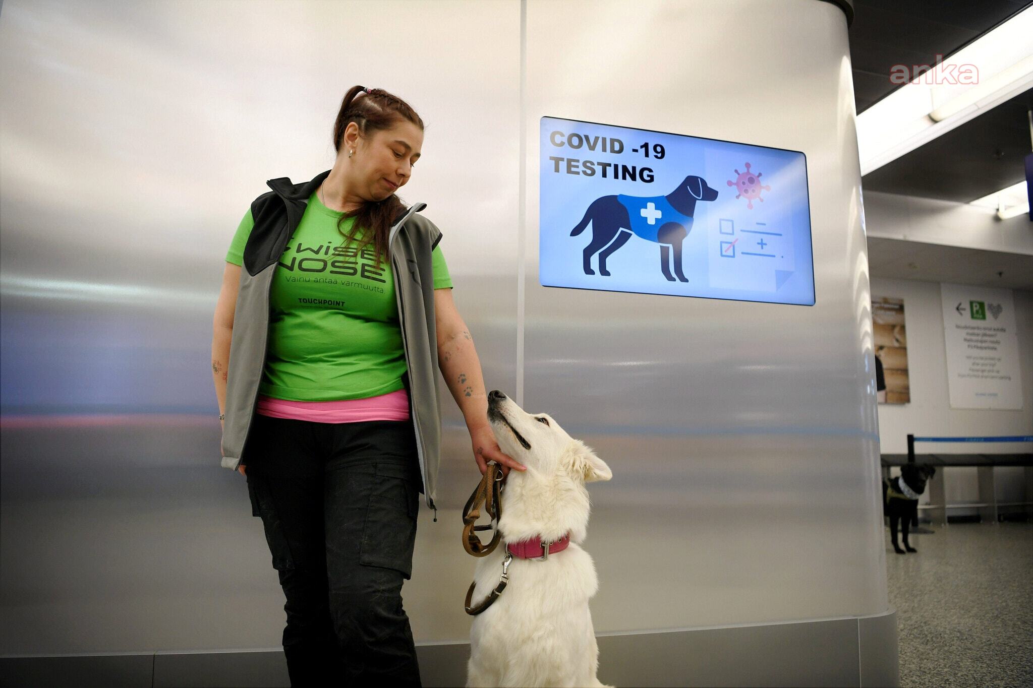 FİNLANDİYA HELSİNKİ HAVAALANI’NDA COVİD-19 TESTİ İÇİN KÖPEKLER KULLANILMAYA BAŞLANDI
