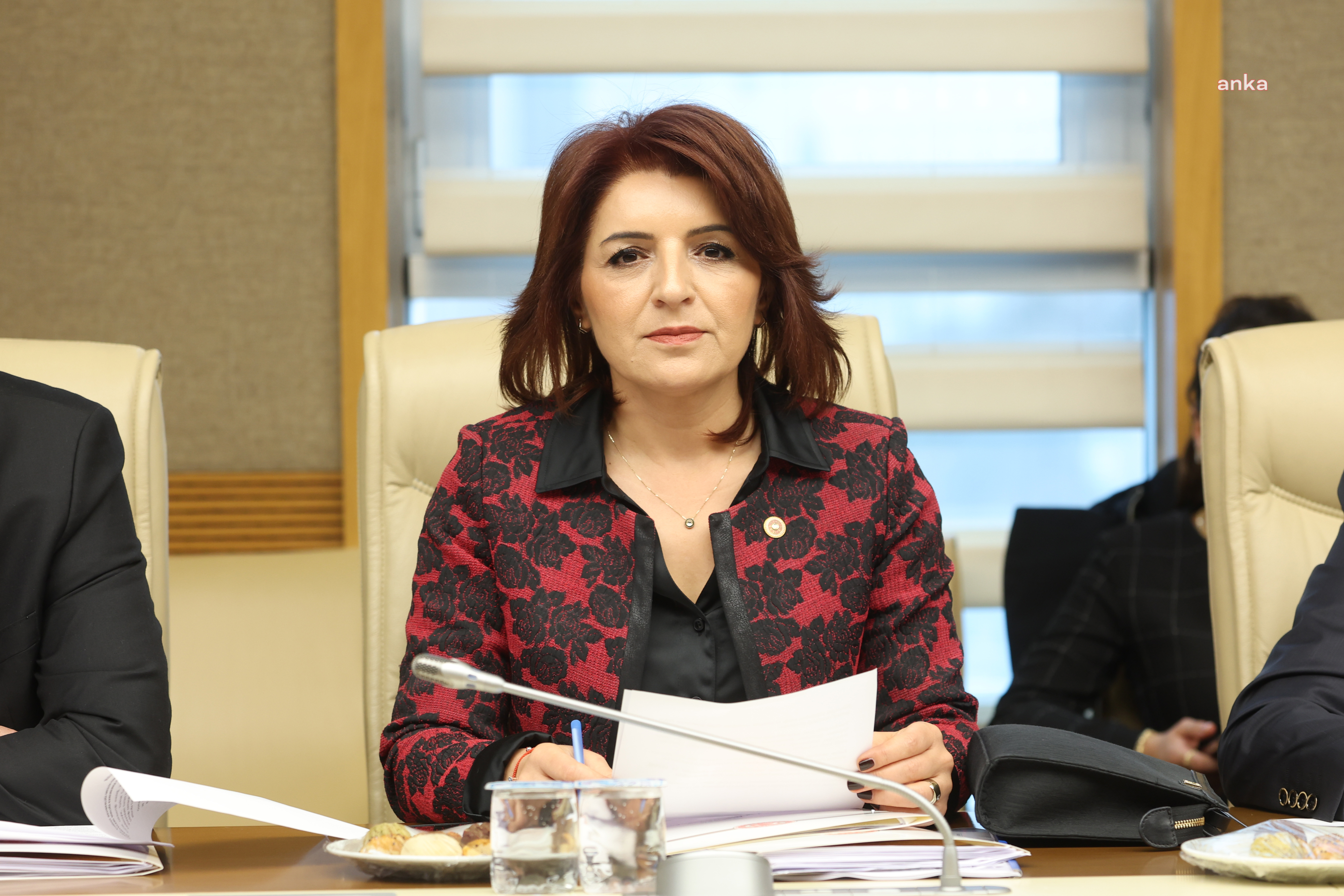 GÜLCAN KIŞ, TURİST REHBERLİĞİ MESLEK KANUNU'NUN DEĞİŞTİRİLMESİNE TEPKİ GÖSTERDİ: CUMHURBAŞKANINA HAKARET SUÇUNU İŞLEYENLERİN AFFA UĞRASA BİLE REHBER OLAMAYACAĞI GİBİ DÜZENLEMELER İÇEREN BİR KANUN TEKLİFİ VAR ÖNÜMÜZDE”
