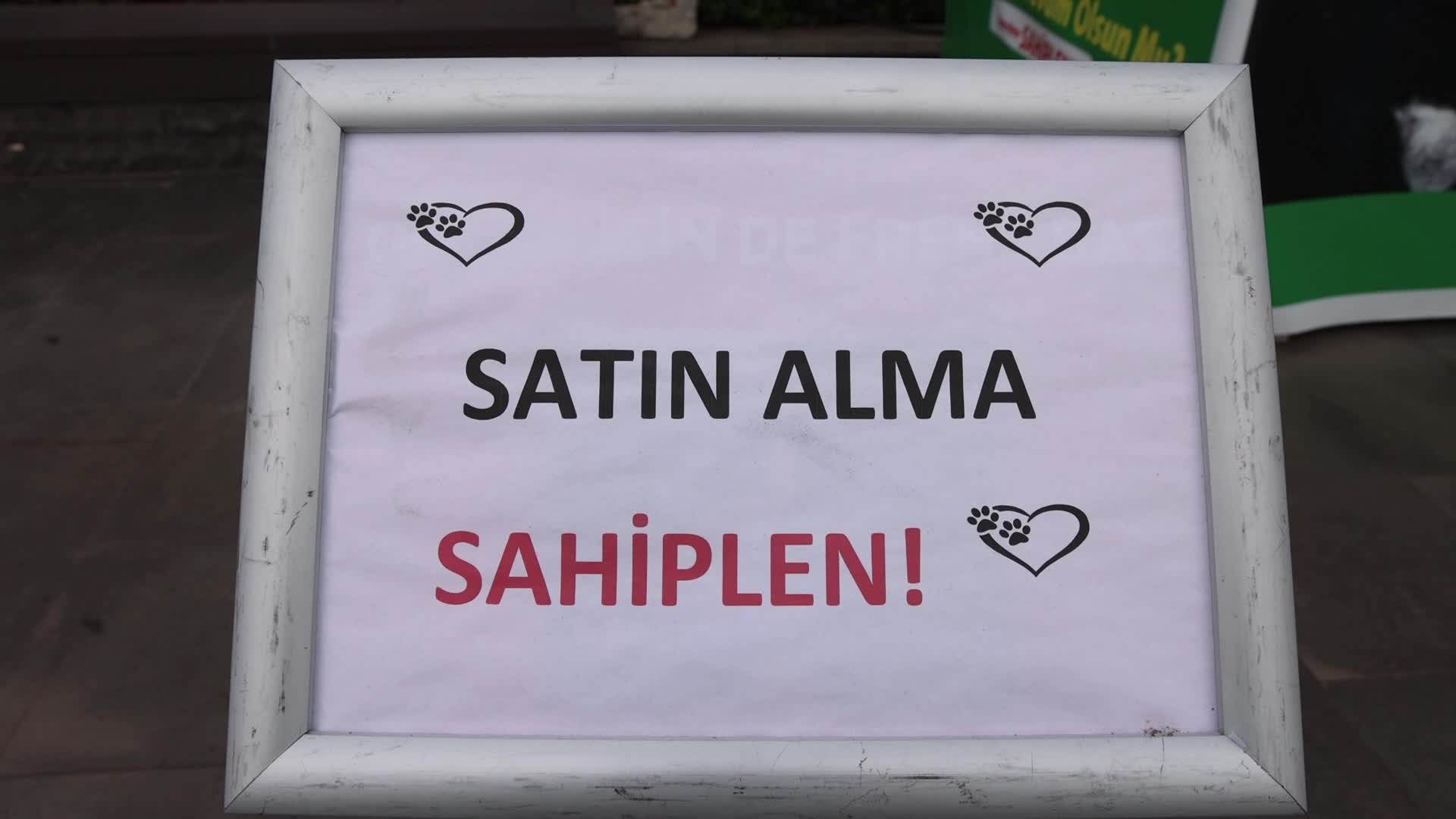 MARMARİS BELEDİYESİ, HAYVAN SAHİPLENDİRME VE BAKIMEVİ KONUSUNDA VATANDAŞLARI BİLGİLENDİRİYOR