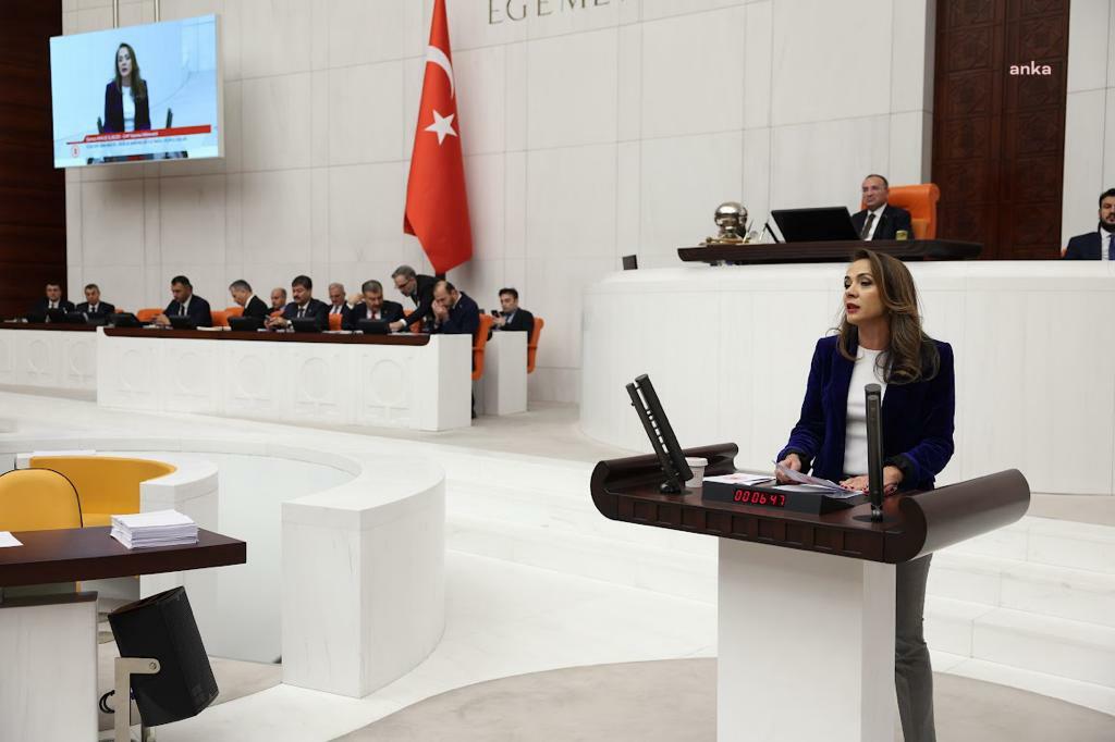 GAMZE AKKUŞ İLGEZDİ, GENEL KURUL’DA KONUŞTU: “VATANDAŞ DİŞSİZ, DİŞ HEKİMLERİ İŞSİZ”