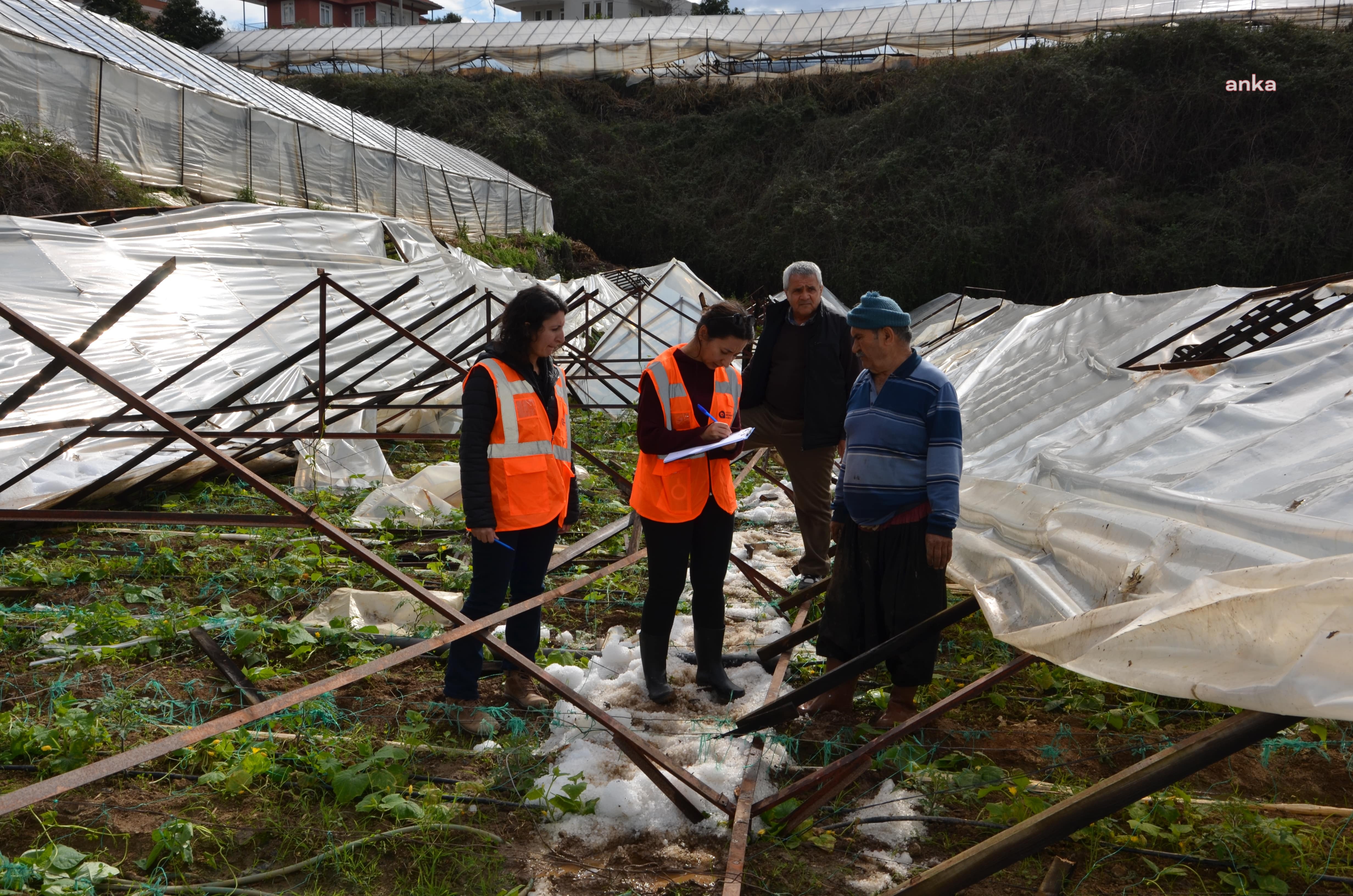 ANTALYA BÜYÜKŞEHİR BELEDİYESİ'NDEN SERALARI ZARAR GÖREN ALANYALI ÜRETİCİYE DESTEK