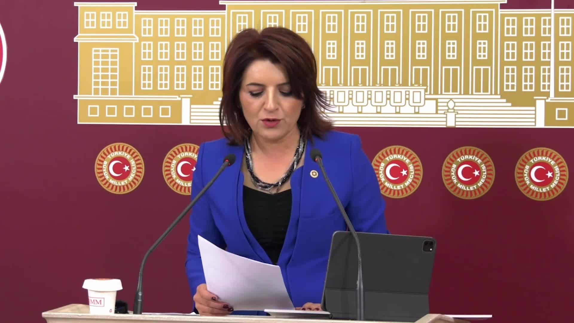 GÜLCAN KIŞ: "8 BAKAN ESKİTEN, 3 TEMEL ATMA TÖRENİ GERÇEKLEŞTİRİLEN ÇUKUROVA HAVALİMANI 13 YILDIR BİTİRİLEMEDİ. HÜKÜMET İÇİN BU, TEK KELİMEYLE BİR UTANÇ PROJESİDİR