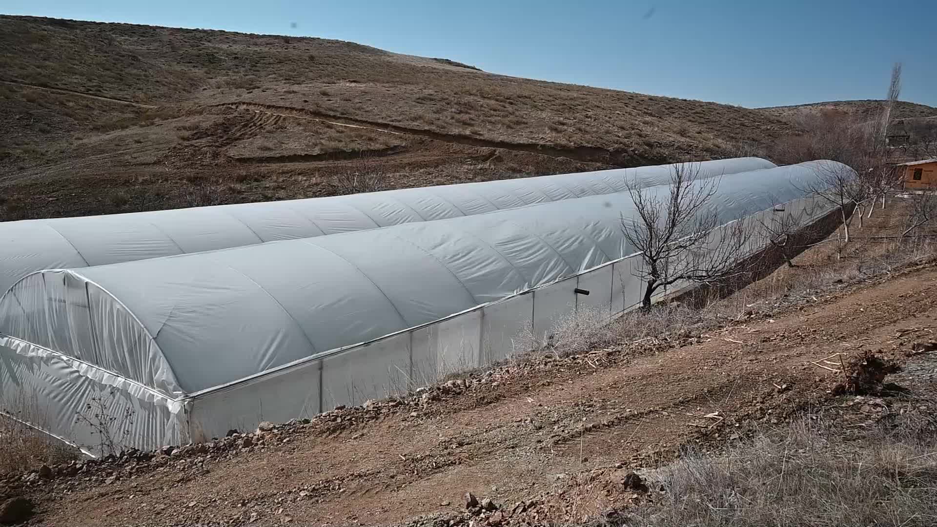 YOZGATLI ÇİFTÇİ KURDUĞU SERADA 9 AY SEBZE ÜRETİP, ARACISIZ PAZARA SUNUYOR