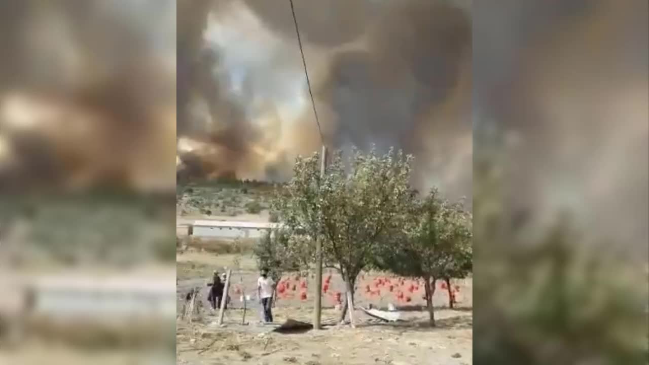 BOLU'DA ORMAN YANGINI