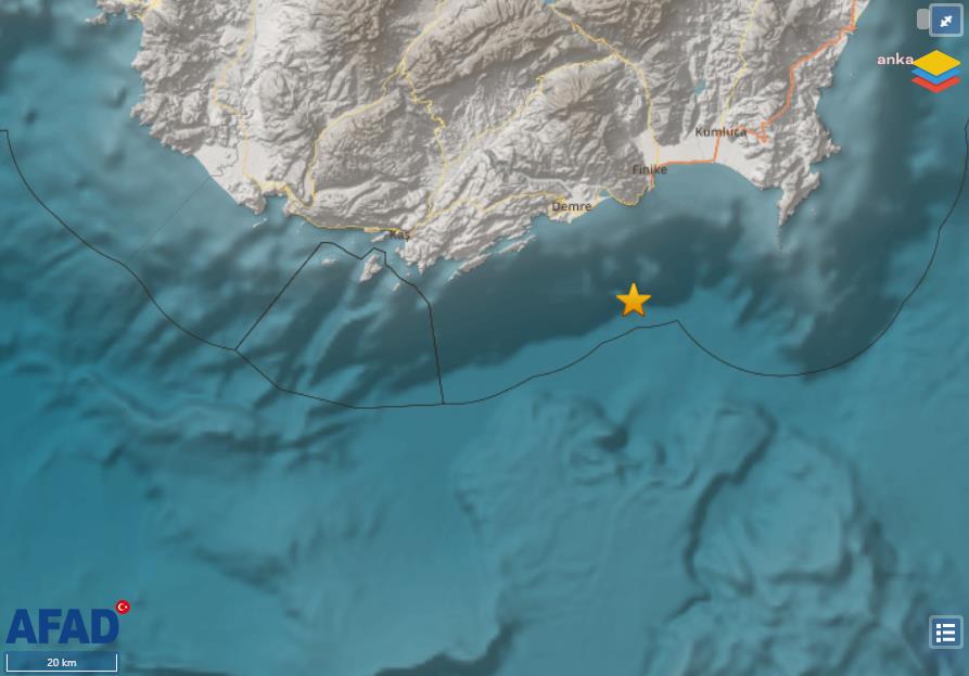 İSTANBUL'DA PİYASA DEĞERİ 75 MİLYON YİNA OLAN DONDURULMUŞ HAYVAN ELE GEÇİRİLDİ