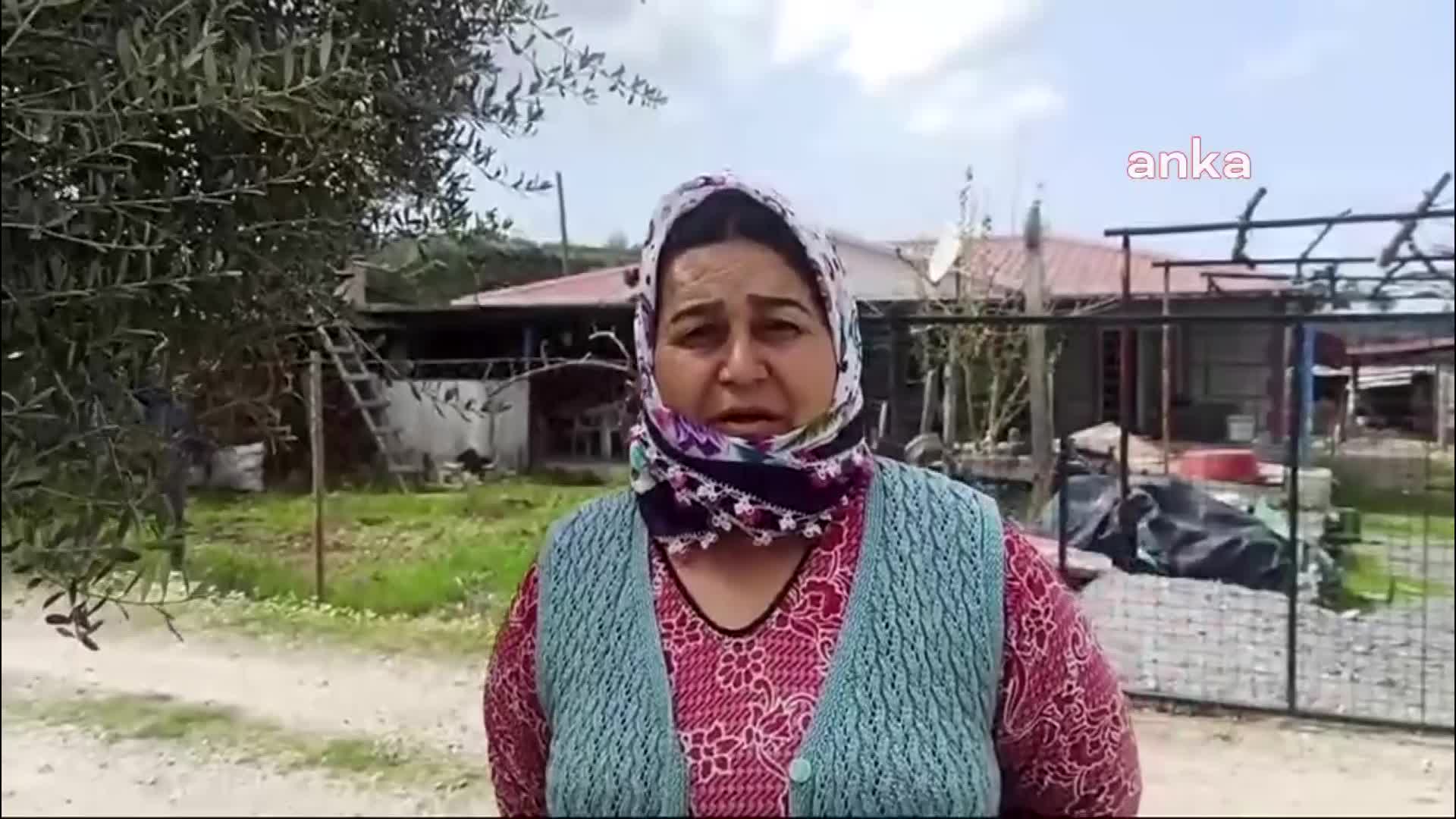 İKİZKÖYLÜLER, AKBELEN ORMANI'NDAKİ YENİ KAMULAŞTIRMA KARARINA TEPKİLİ: "KAMUNUN YARARI TOPRAKTIR, SUDUR. ÜRETİM YAPAMADIKTAN SONRA CUMHURBAŞKANI SARAYINDA NE YİYECEK?"