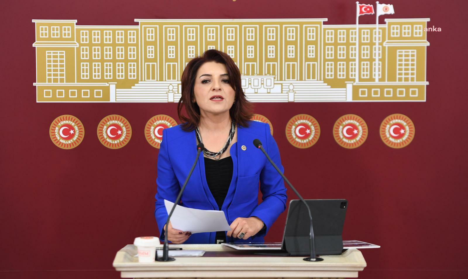 CHP’Lİ KIŞ’TAN BAKAN ŞİMŞEK’E: “YEREL SEÇİMLER SONRASI ENFLASYONUN ACI GERÇEĞİ İLE KARŞILAŞILACAĞI YORUMLARI DOĞRU MU?”