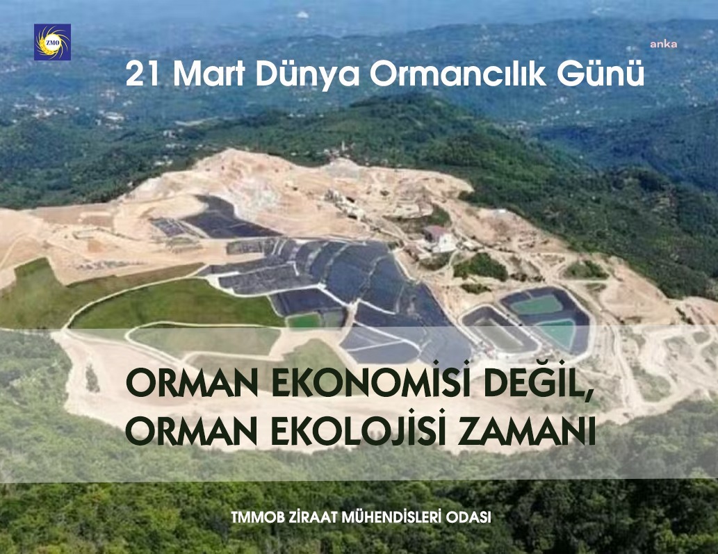 ZİRAAT MÜHENDİSLERİ ODASI: "DOĞAMIZI, ORMANLARIMIZI, TARIM ALANLARIMIZI, SU HAVZALARIMIZI KORUMA MÜCADELEMİZE DEVAM EDECEĞİZ"