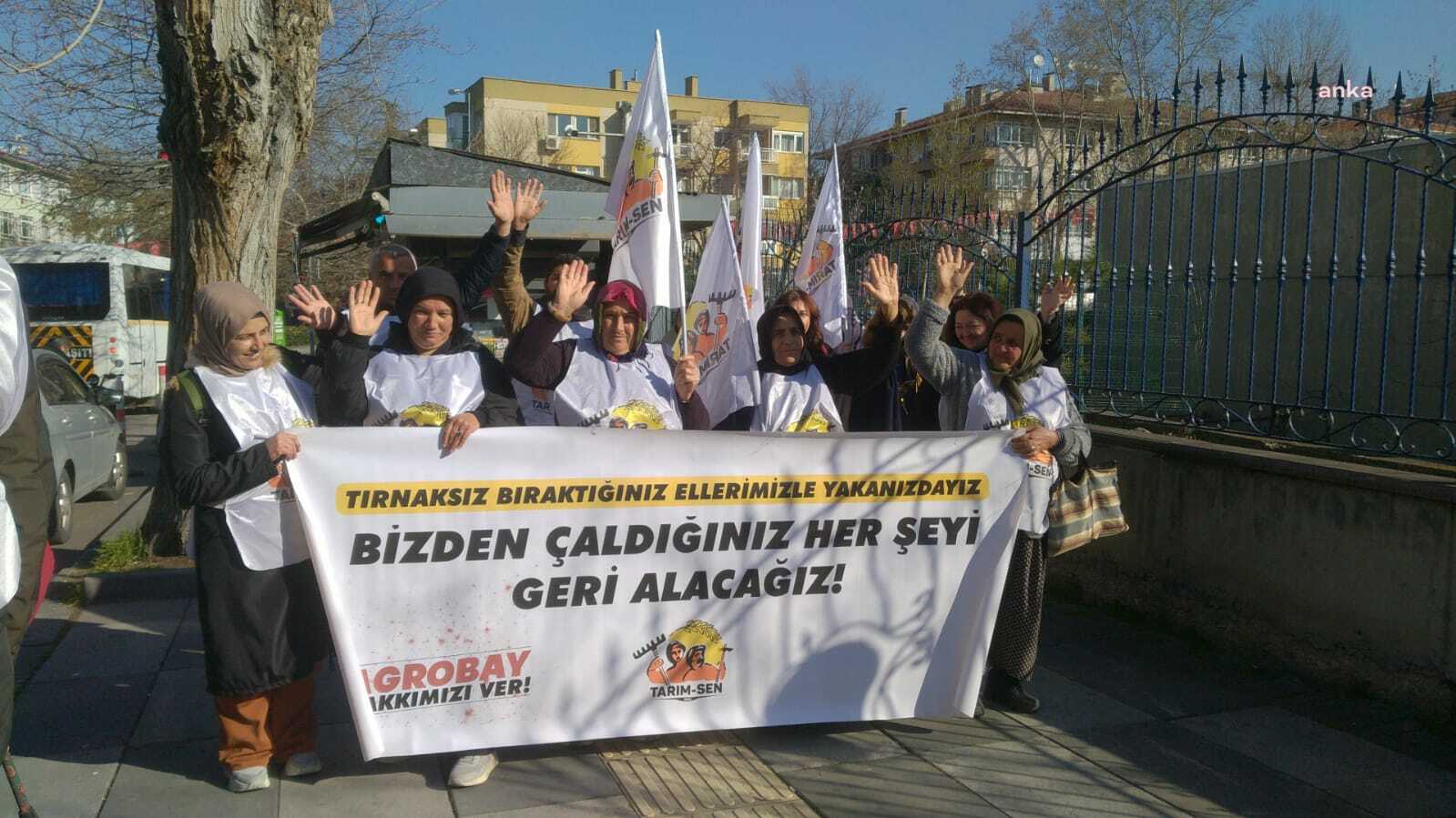 AGROBAY İŞÇİLERİ ANKARA’DA...ÇALIŞMA VE SOSYAL GÜVENLİK BAKANLIĞI ÖNÜNDE EYLEM YAPAN İŞÇİLER: “PATRONLAR BUNCA KİŞİNİN EMEĞİNİ GASBEDİYOR, KOSKOCA BAKANLAR DUYMUYOR”