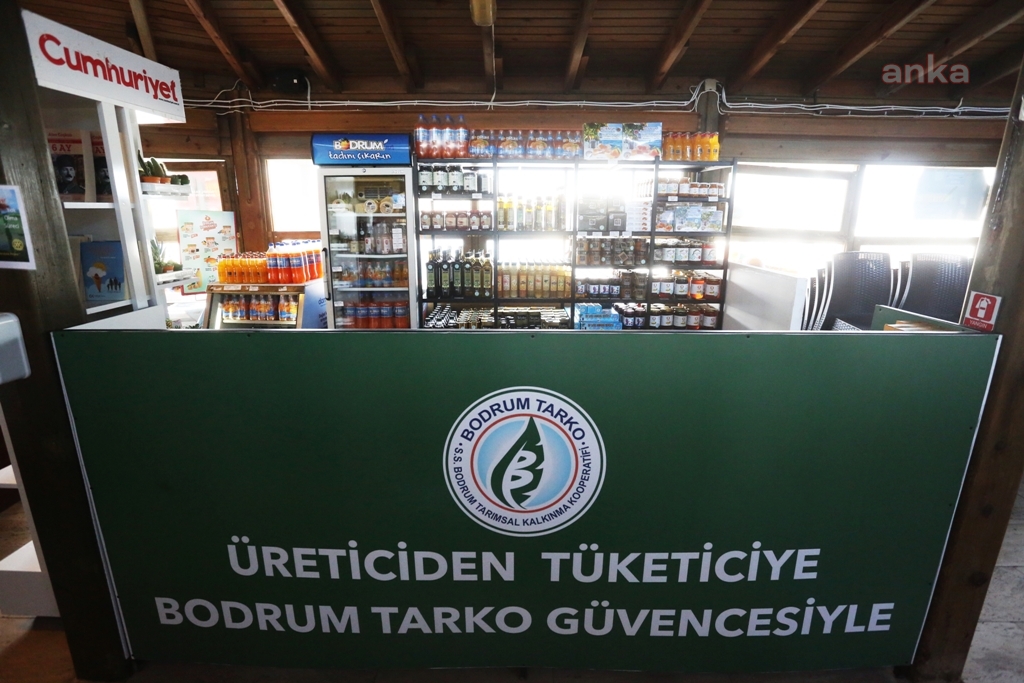 BODRUM'DA TARKO SATIŞ NOKTASI İKİYE, ÜRETİCİ PAZARI SAYISI İSE DÖRDE ÇIKTI