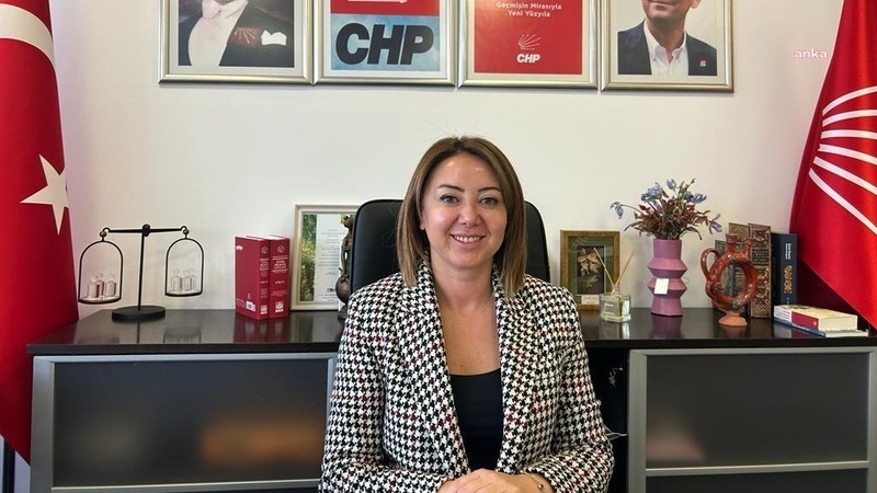 CHP GENEL BAŞKAN YARDIMCISI GÜL ÇİFTCİ'DEN, YSK'NIN HATAY KARARINA TEPKİ: YSK, HATAY'DA SANDIK İRADESİNİ HİÇE SAYMIŞTIR