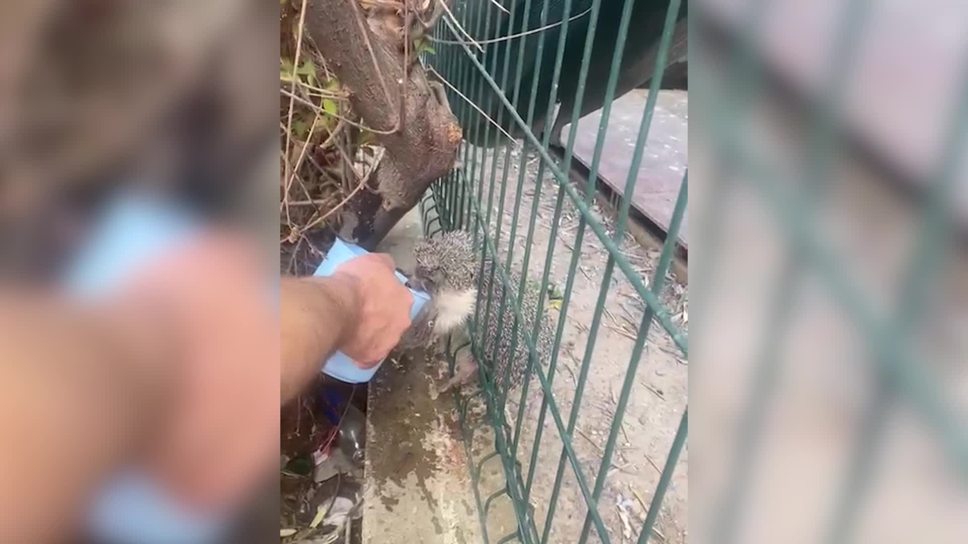 İZMİR'DE YÜREKLERİ ISITAN KURTARMA