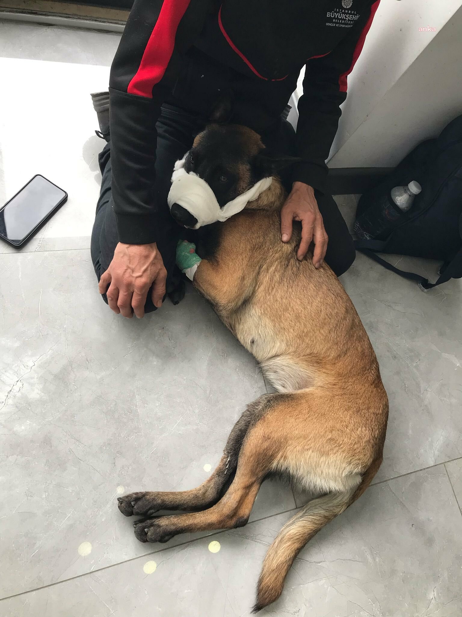 HAYTAP: KÖPEK VURAN BEKÇİ CEZALANDIRILSIN