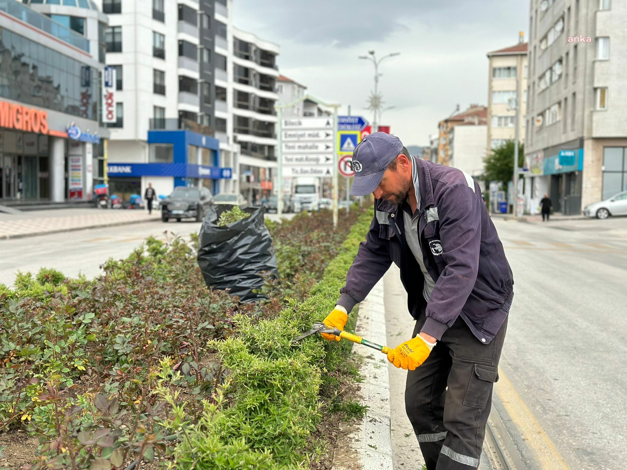 BOZÜYÜK BELEDİYESİ EKİPLERİ, İLÇE GENELİNDE ÇALIŞMALARINA DEVAM EDİYOR