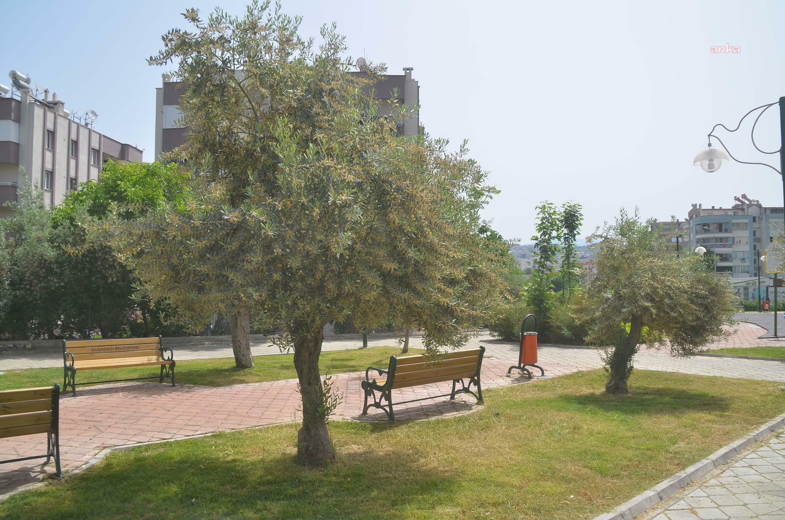TÜRKİYE’NİN ÖNCÜ KADINLARININ İSİMLERİ, KUŞADASI’NIN PARKLARINDA ÖLÜMSÜZLEŞECEK