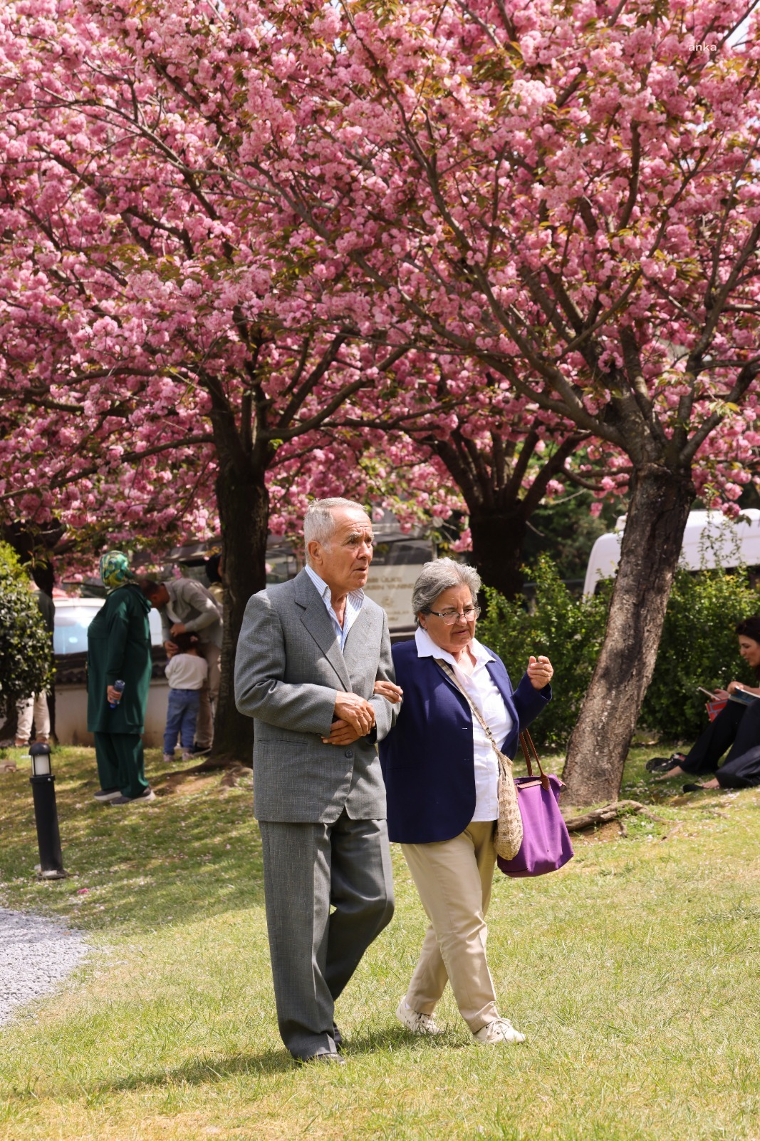 BALTALİMANI JAPON BAHÇESİ’NDE İLKBAHAR GÜZELLİĞİ
