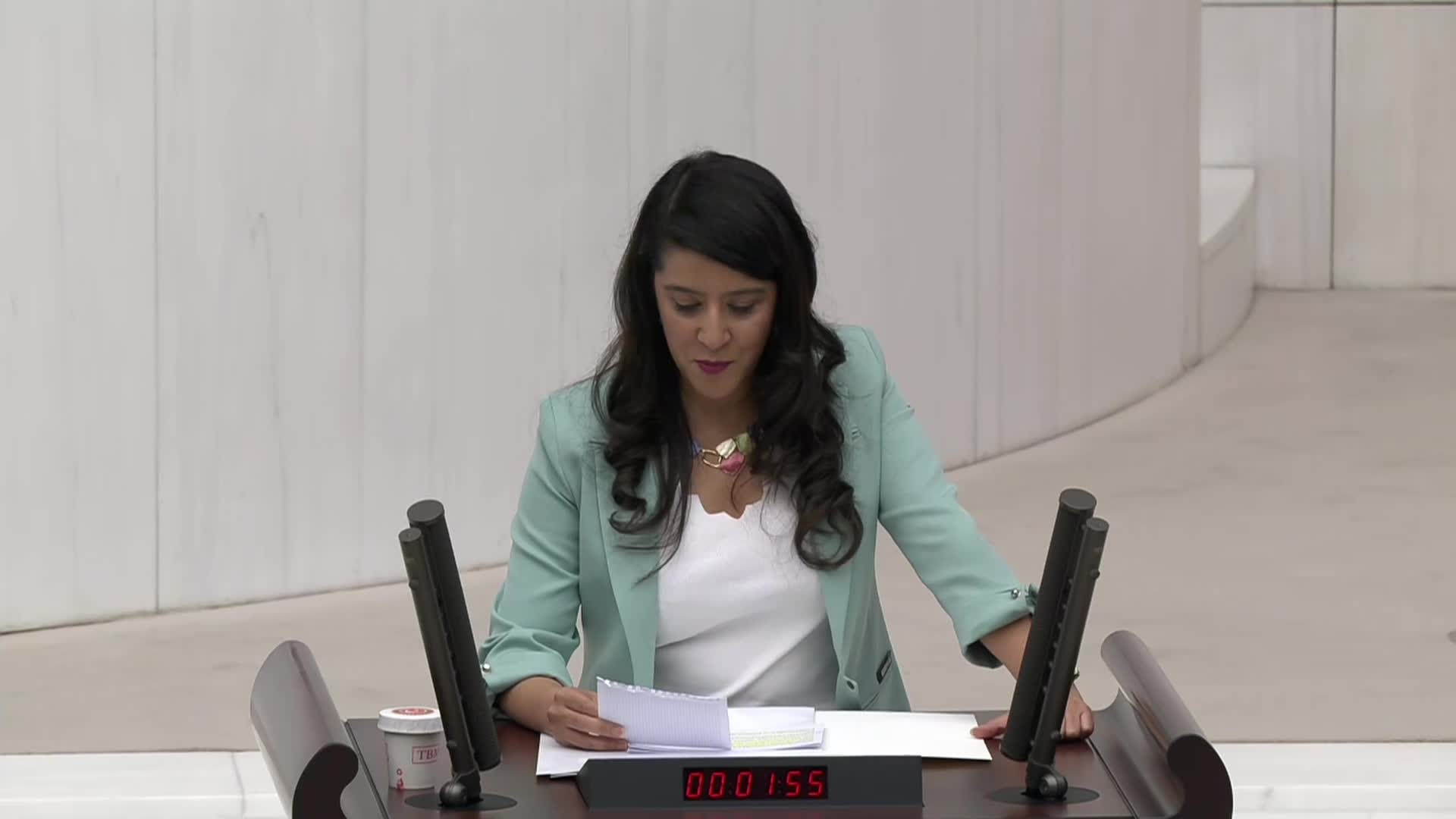 TBMM GENEL KURULU ÖZEL GÜNDEMLE TOPLANDI... SEVDA KARACA'DAN AKP'YE: "23 NİSAN KUTLAMALARINI BİR GÜNAH ÇIKARMA TÖRENİNE DÖNÜŞTÜRDÜNÜZ''