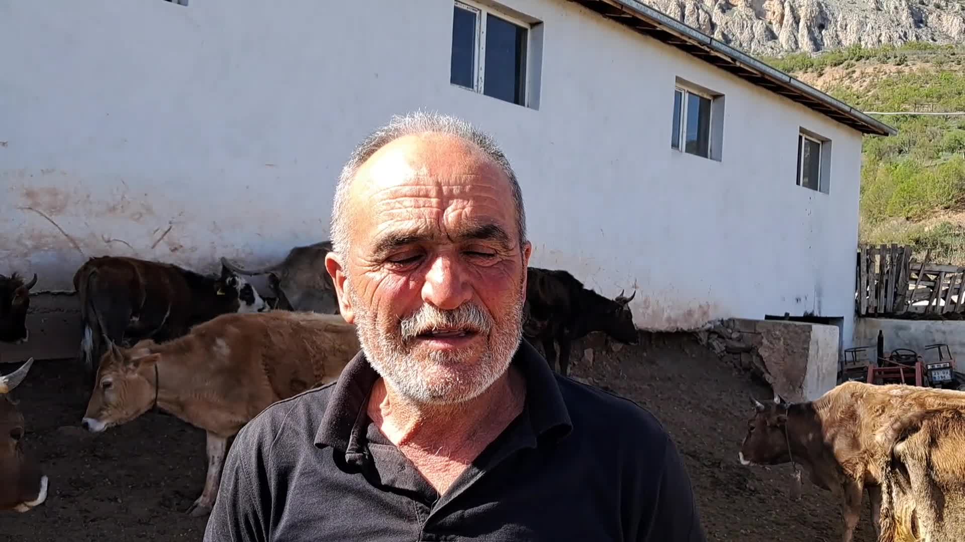 ARDANUÇLU BESİCİ: "BU SENE KURBANLIK SATIŞINDA SİFTAH YAPAMADK"