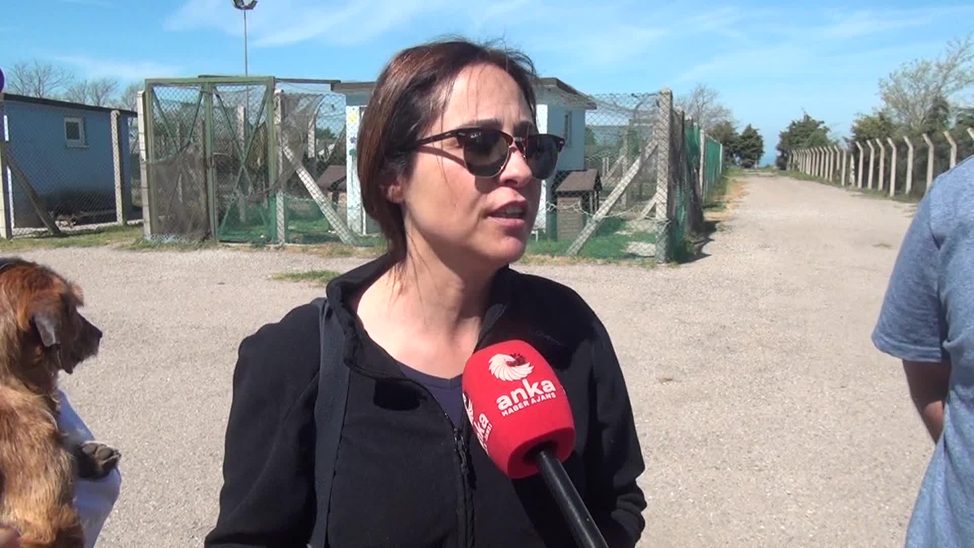 SİNOP SAHİPSİZ HAYVANLARI KORUMA VE YAŞATMA DERNEĞİ BAŞKAN YARDIMCISI KURU: "MAMALARDAN KDV ALINMAMALI"