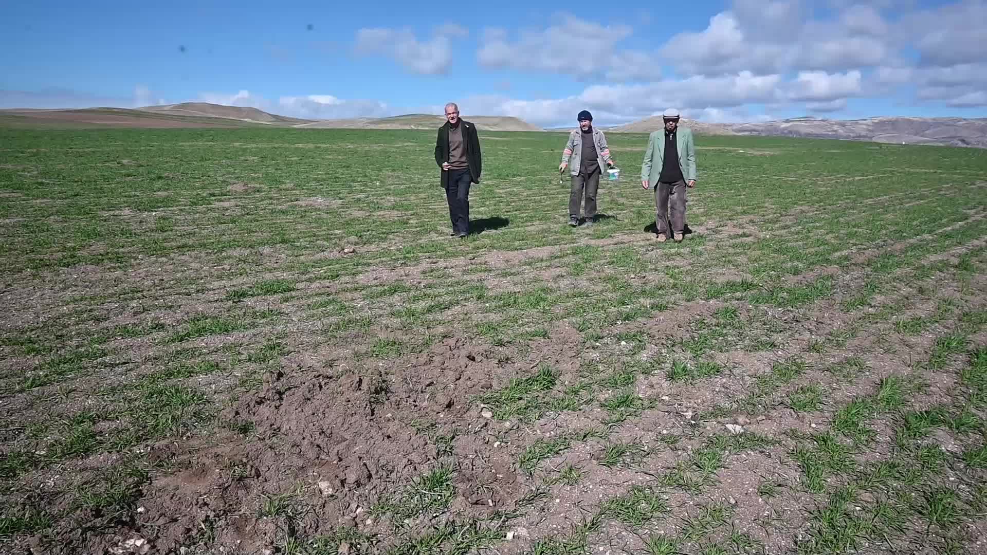 PROF. DR. YILMAZ: “BAZI TARIM İLAÇLARI, FARELERİ AVLAYAN, ONLARLA BESLENEN DİĞER CANLILARI YOK ETMİŞ, POPÜLASYONDA FARE DİNAMİĞİNİ ARTIRMIŞ”