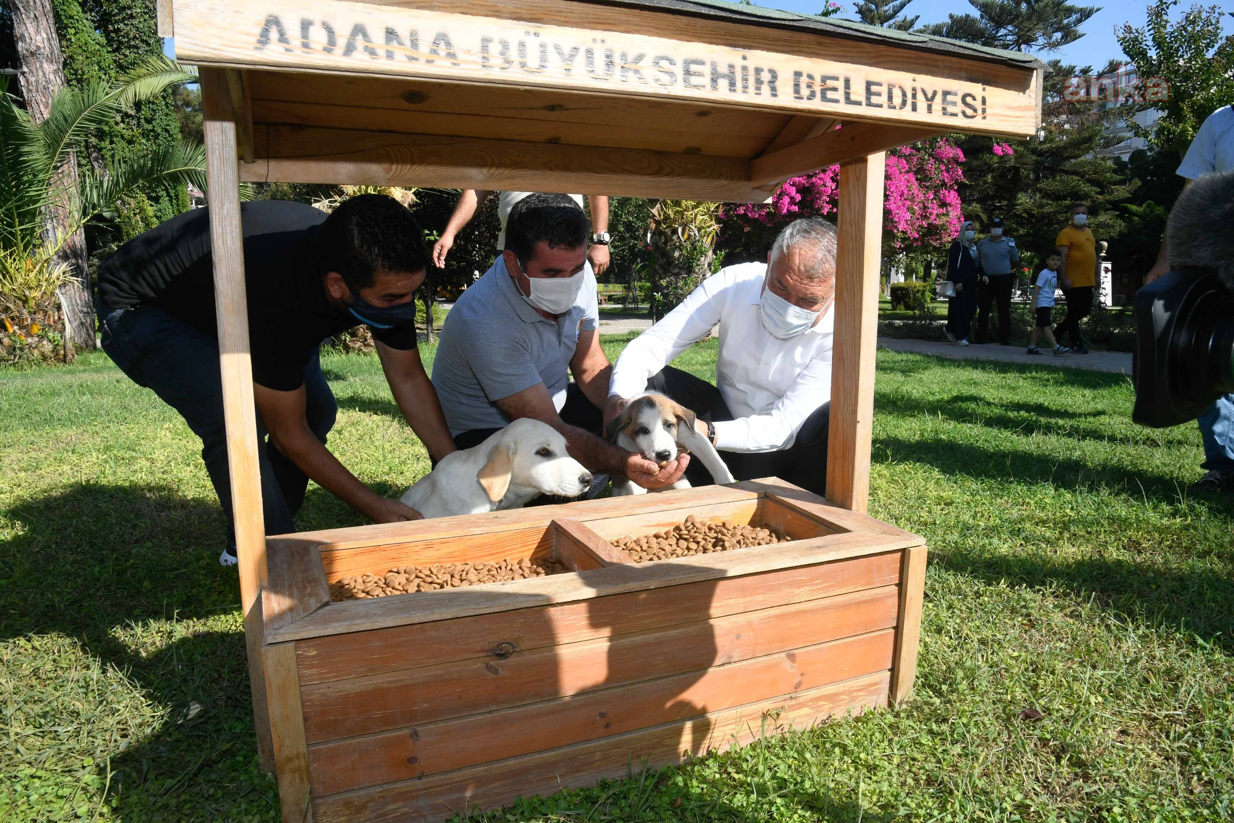 ZEYDAN KARALAR SOKAK HAYVANLARINI ELLERİYLE BESLEDİ