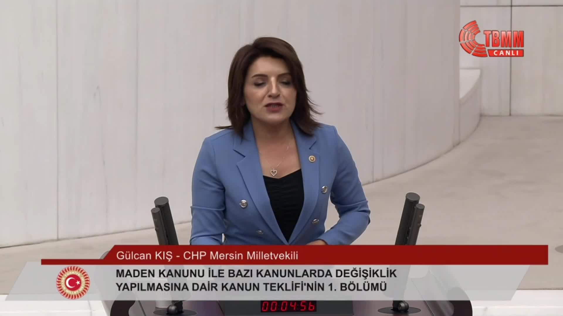 GÜLCAN KIŞ: "ULUSAL ÇIKARLARIMIZA UYGUN, YERLİ VE GERÇEKÇİ BİR ENERJİ POLİTİKASINA İHTİYACIMIZ VAR"