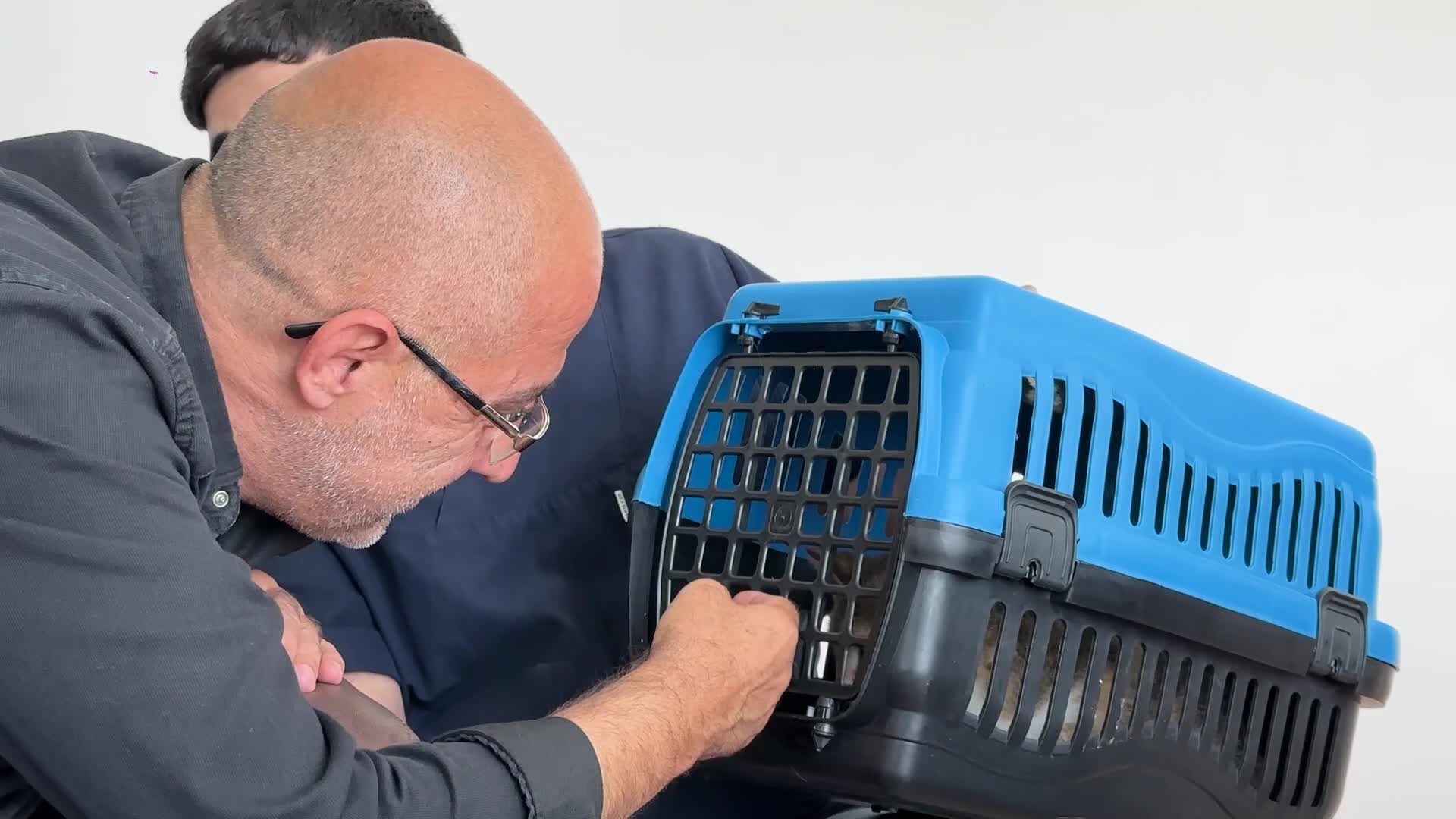 ESENYURT BELEDİYESİ, HAMİLE KEDİNİN HAYATINI KURTARDI