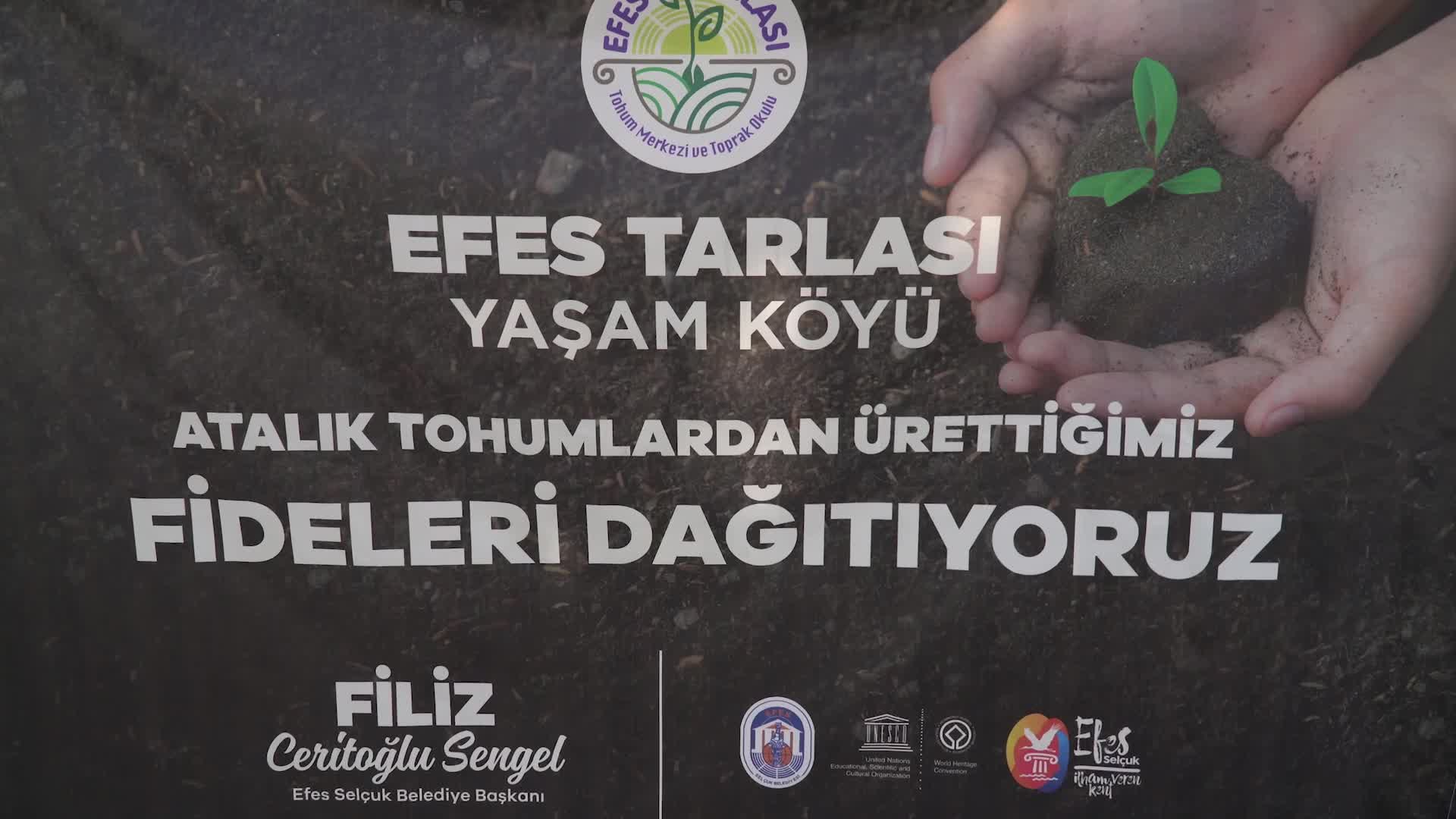 EFES SELÇUK BELEDİYESİ ATALIK TOHUMLARDAN ÜRETTİĞİ FİDELERİ HALKLA BULUŞTURDU