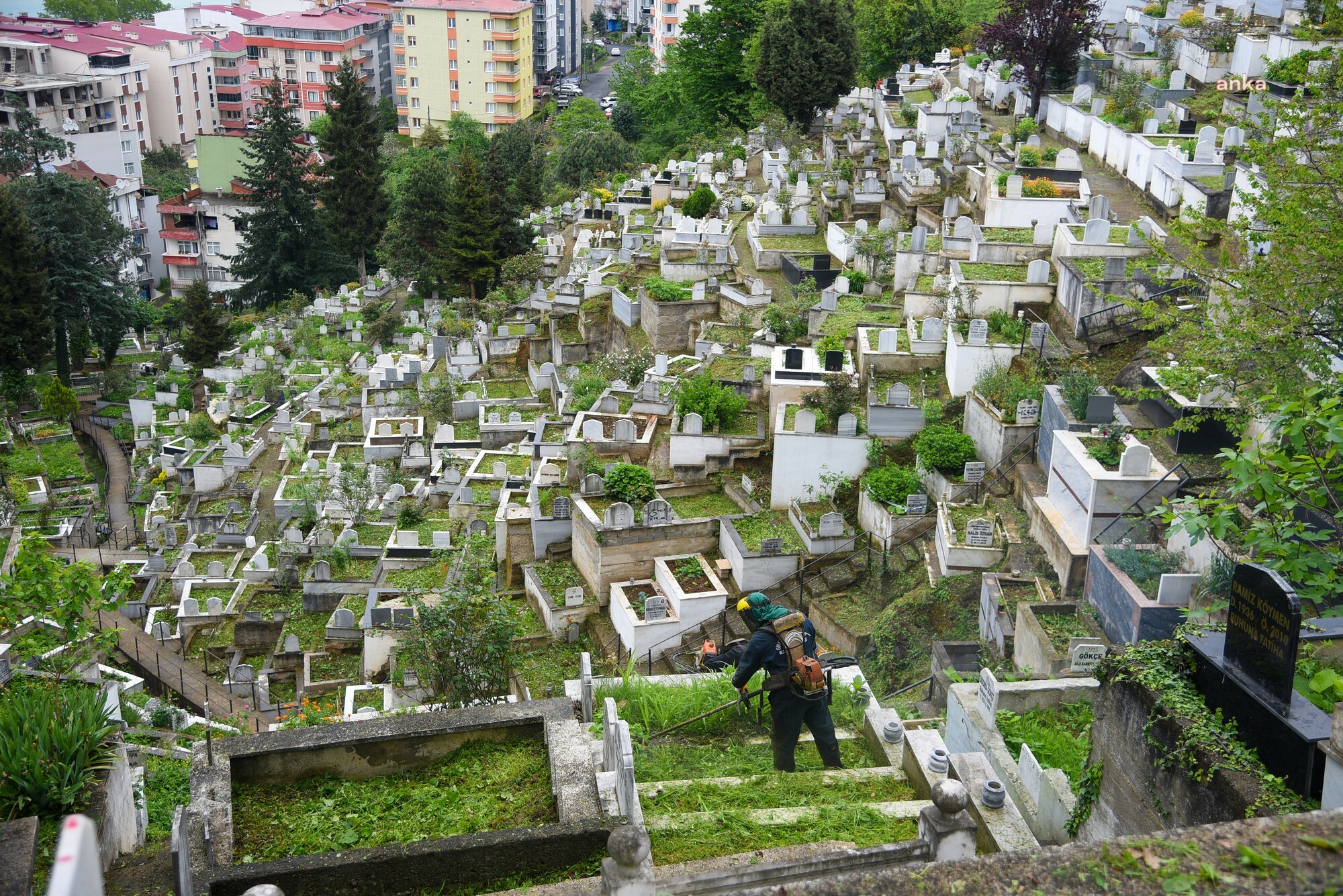 GİRESUN’DA MEZARLIKLAR ANNELER GÜNÜ’NE HAZIRLANIYOR