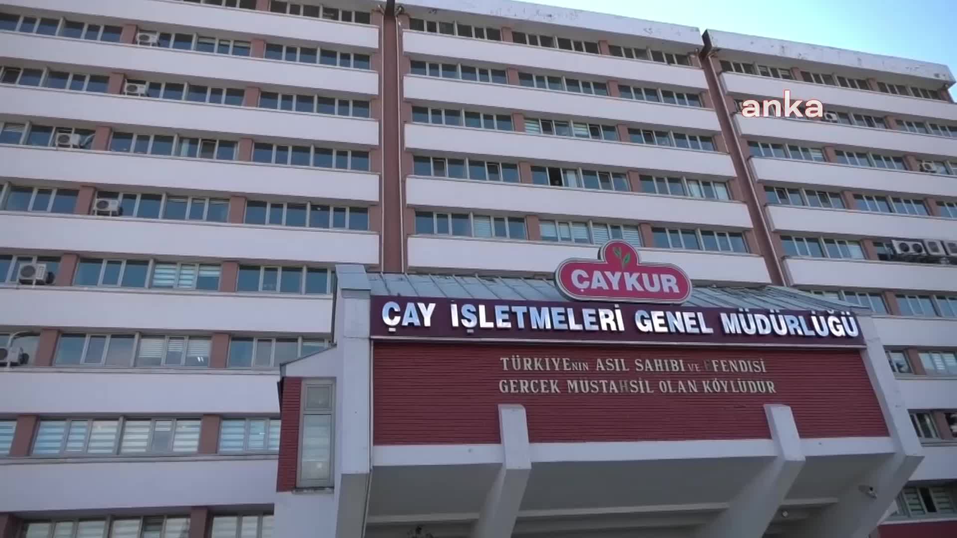 ÇAYKUR'UN 18 FABRİKASINDA ÇAY ALIMINI DURDURMASINA ÜRETİCİ İSYAN ETTİ: "ÇAYIN FİYATI BELLİ DEĞİL, ÖZEL SEKTÖR NE YAPACAK O DA BELLİ DEĞİL’’