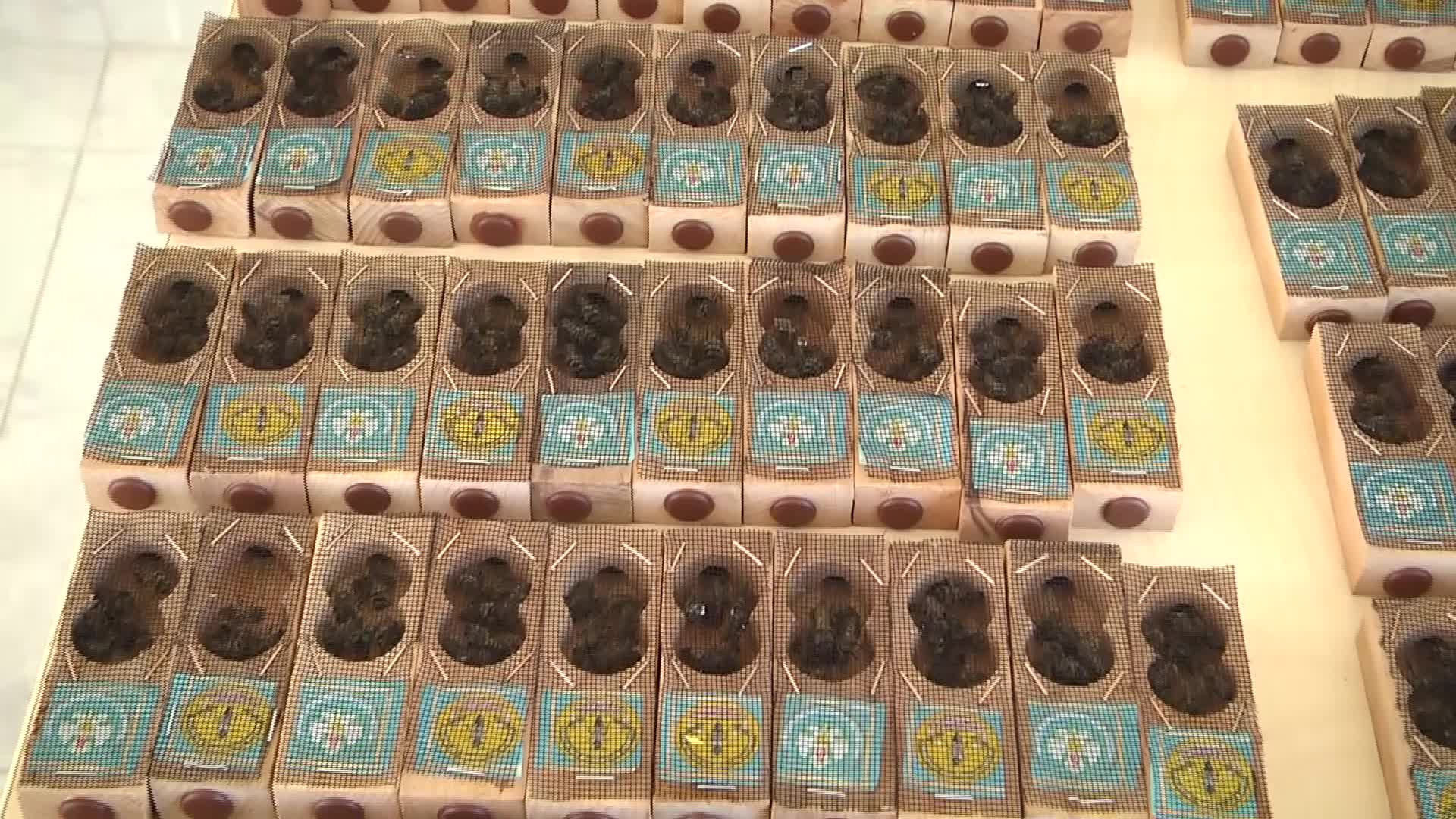 MANİSA BÜYÜKŞEHİR’DEN ARICILARA ANA ARI DESTEĞİ