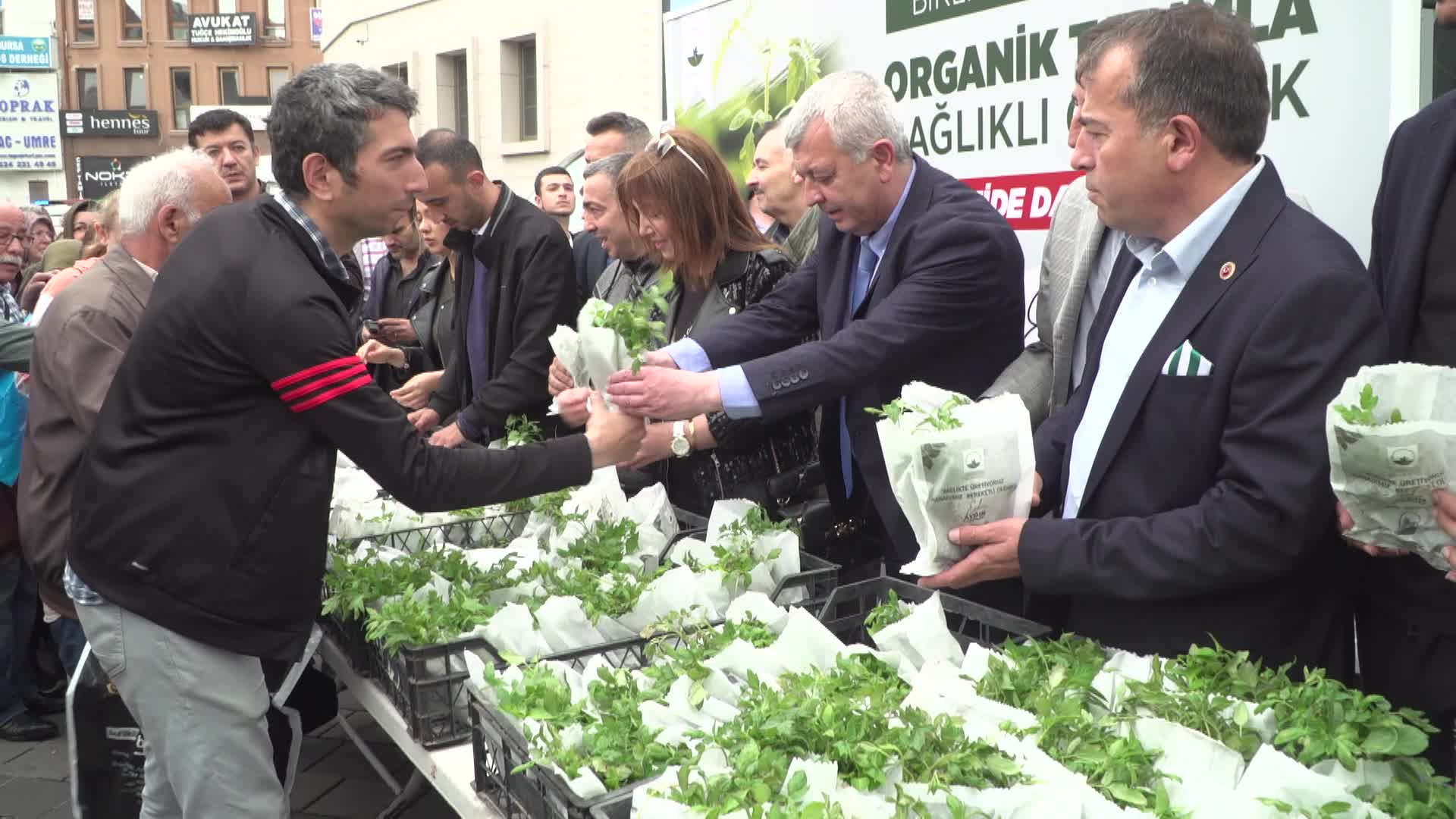 OSMANGAZİ BELEDİYESİ’NDEN VATANDAŞLARA 100 BİN FİDE