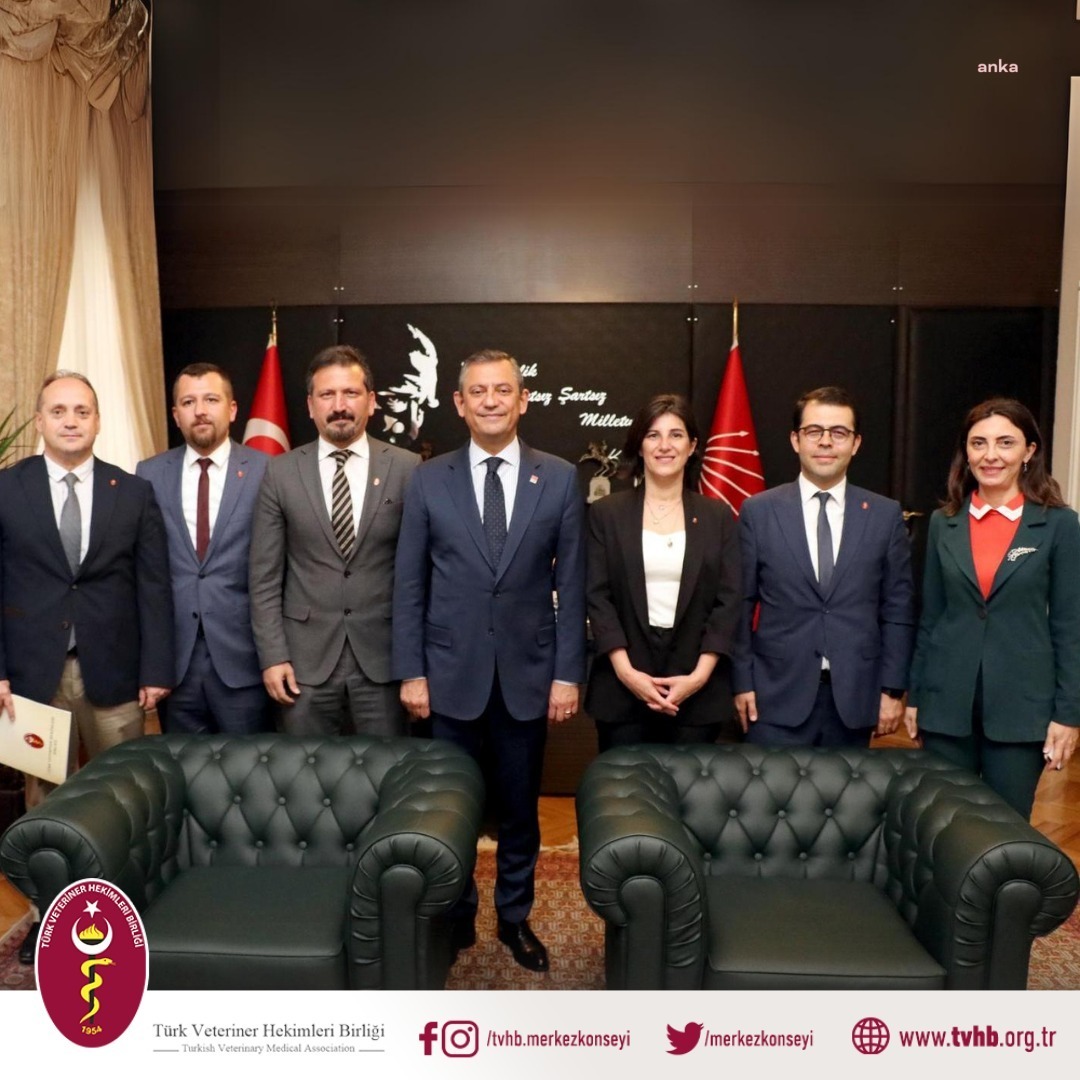 VETERİNER HEKİMLER BİRLİĞİ:  "CHP, TOPLUM VE HAYVAN SAĞLIĞI İLE İLGİLİ TALEPLERİMİZİ KARŞILADI, BUNU TÜM PARTİLERDEN BEKLİYORUZ"