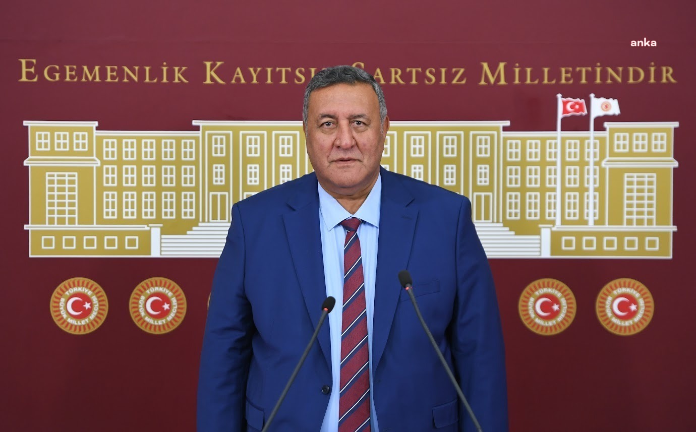 ÖMER FETHİ GÜRER : ''ORMANLIK ALANLARDA TALAN ARTTI''