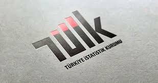 TÜİK: "MESLEKİ BİLİMSEL VE TEKNİK HİZMETLER YÜZDE 0,5 AZALDI"