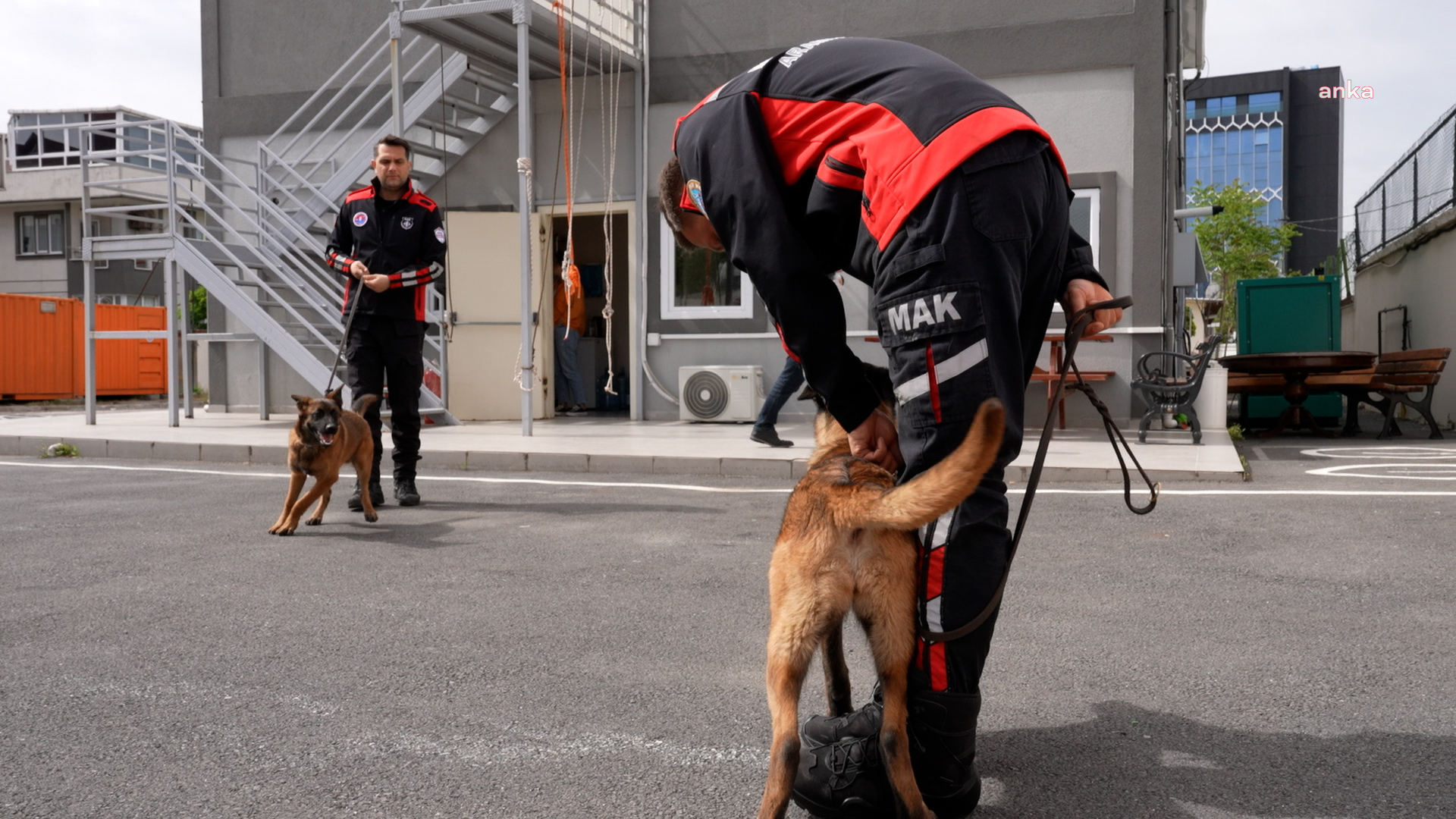 Maltepe’nin can dostları “Thor” ve “Zeyna”, arama-kurtarma köpeği oluyor